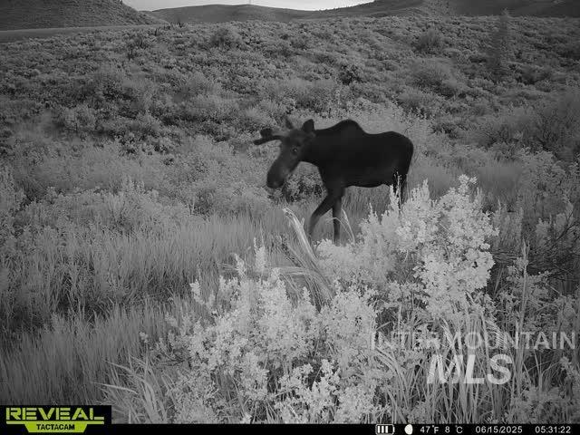 Tbd Tbd Property Photo 49