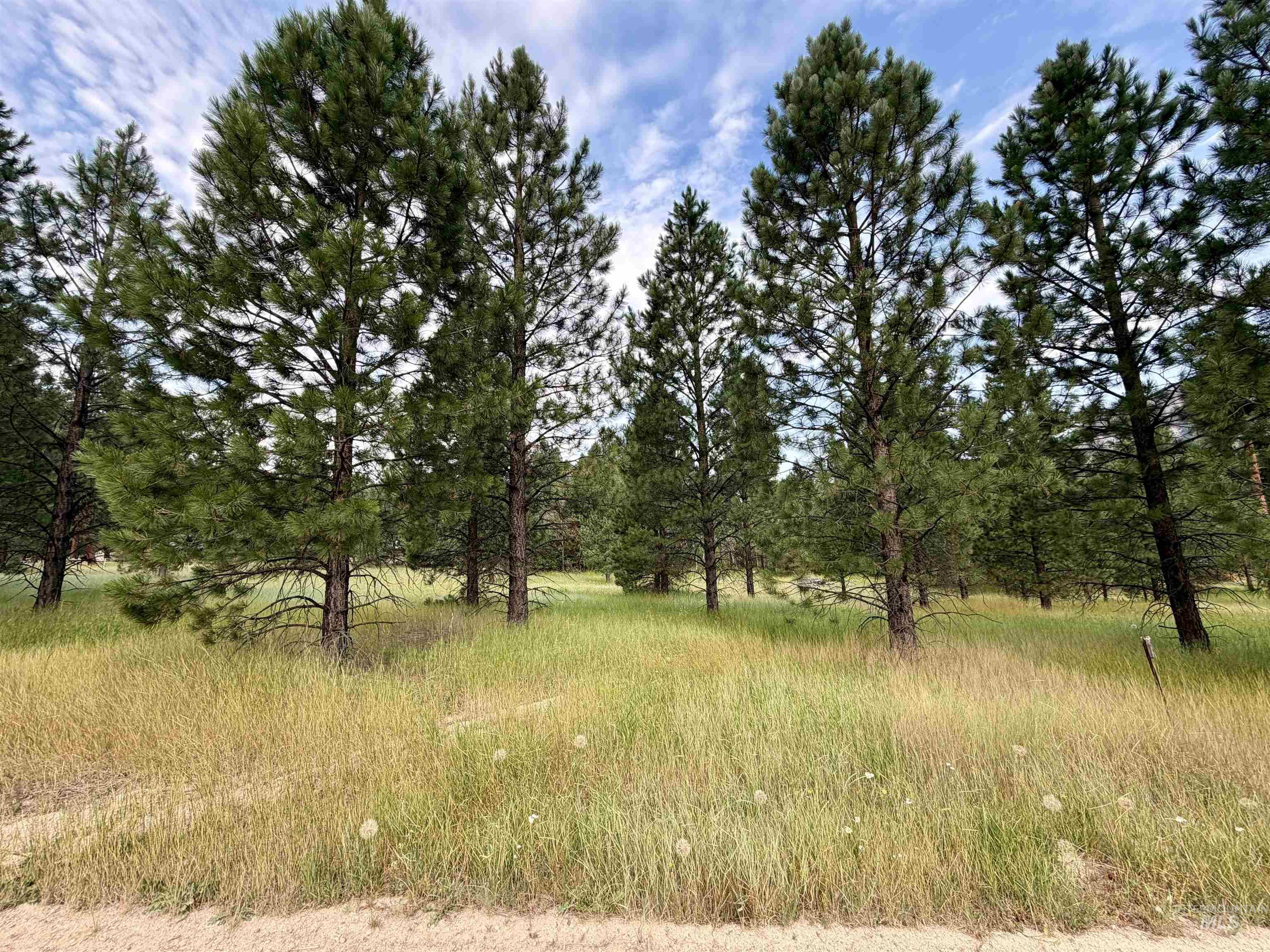 Tbd Lot 7 Alder Property Photo 6