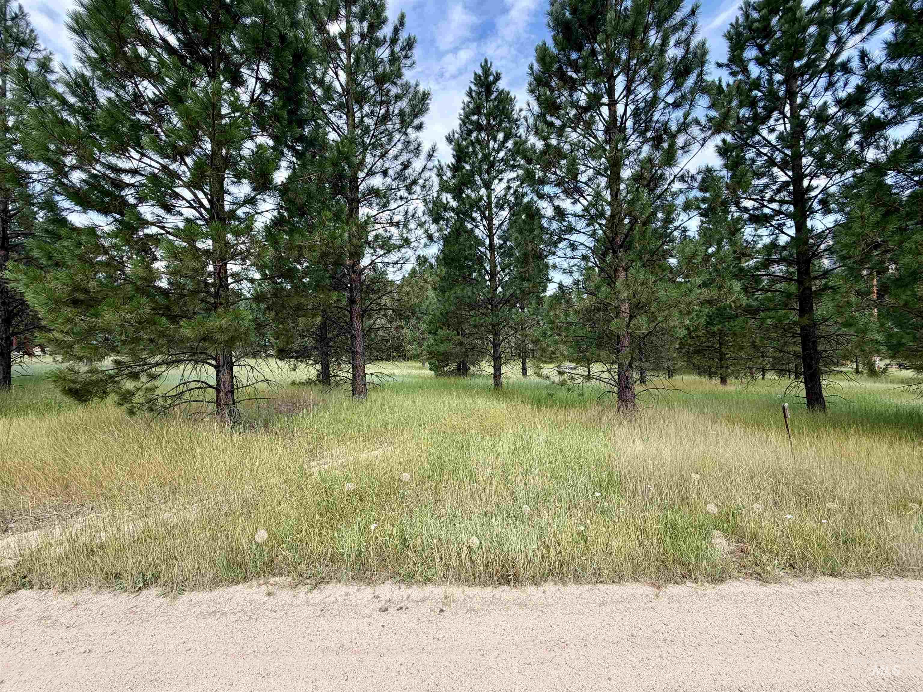 Tbd Lot 7 Alder Property Photo 7