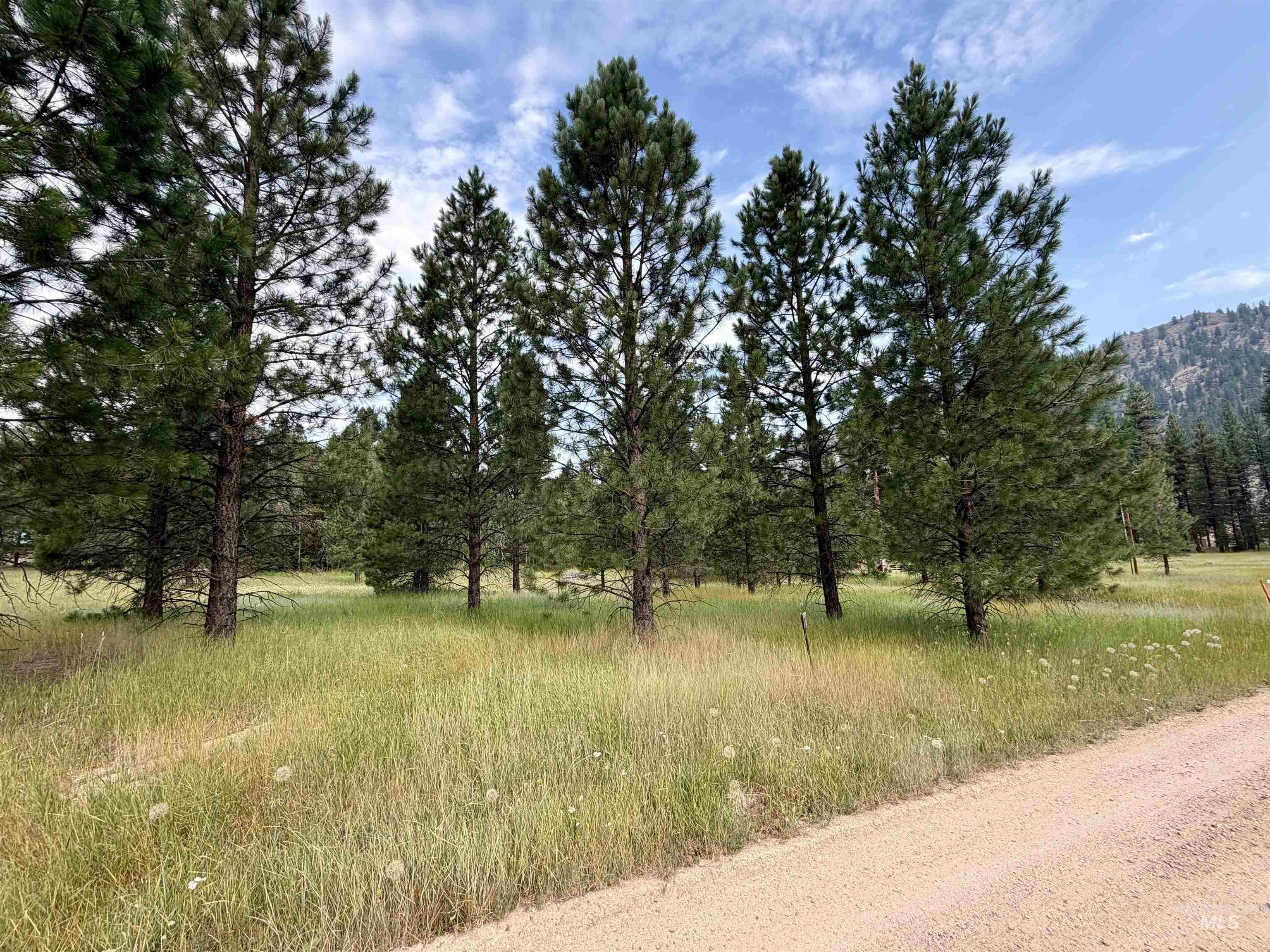 Tbd Lot 7 Alder Property Photo 8