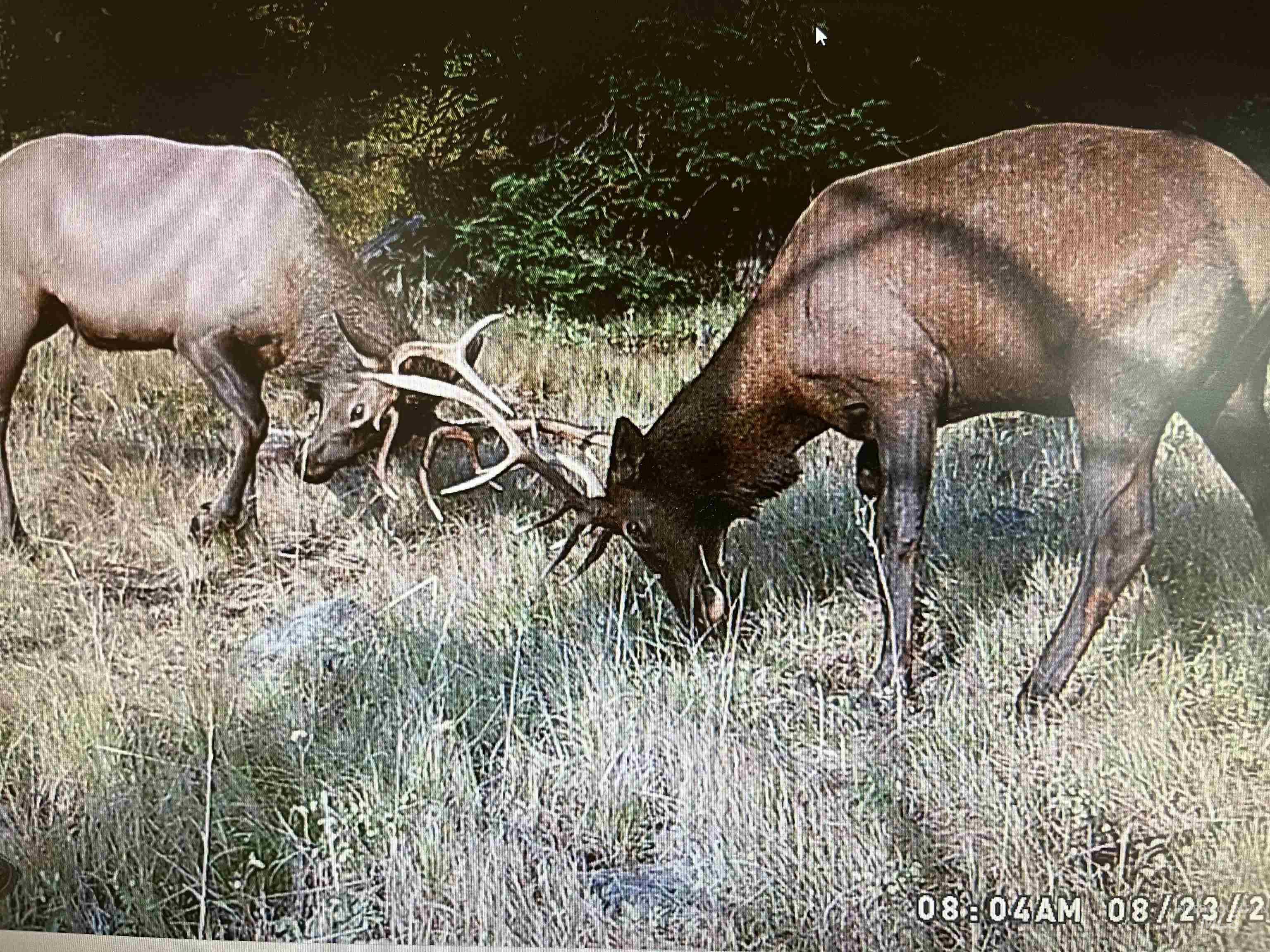 Tbd Tbd Property Photo 2