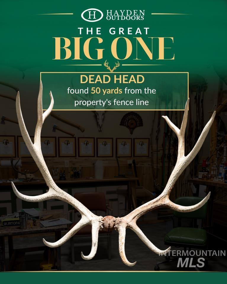 Tbd Tbd Property Photo 10