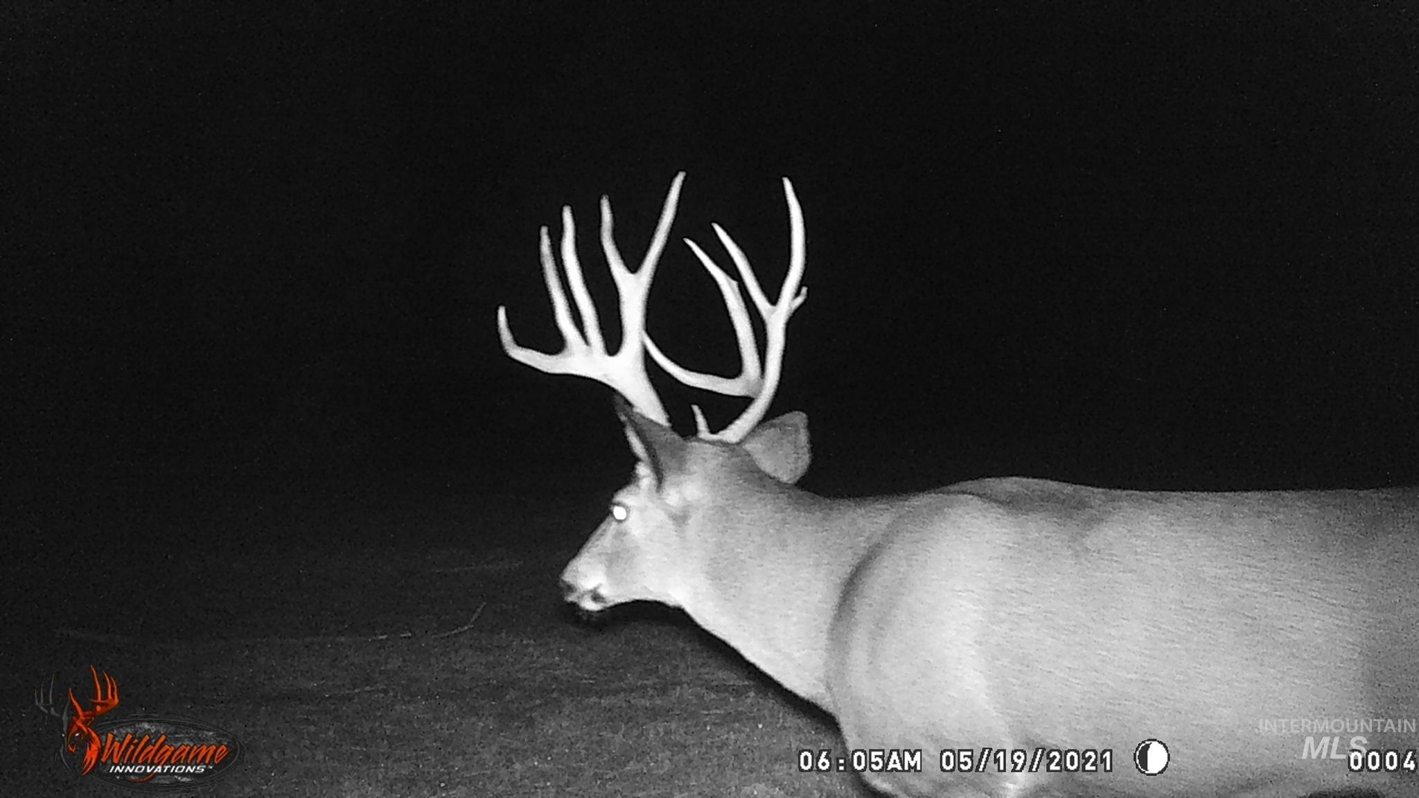 Tbd Tbd Property Photo 11