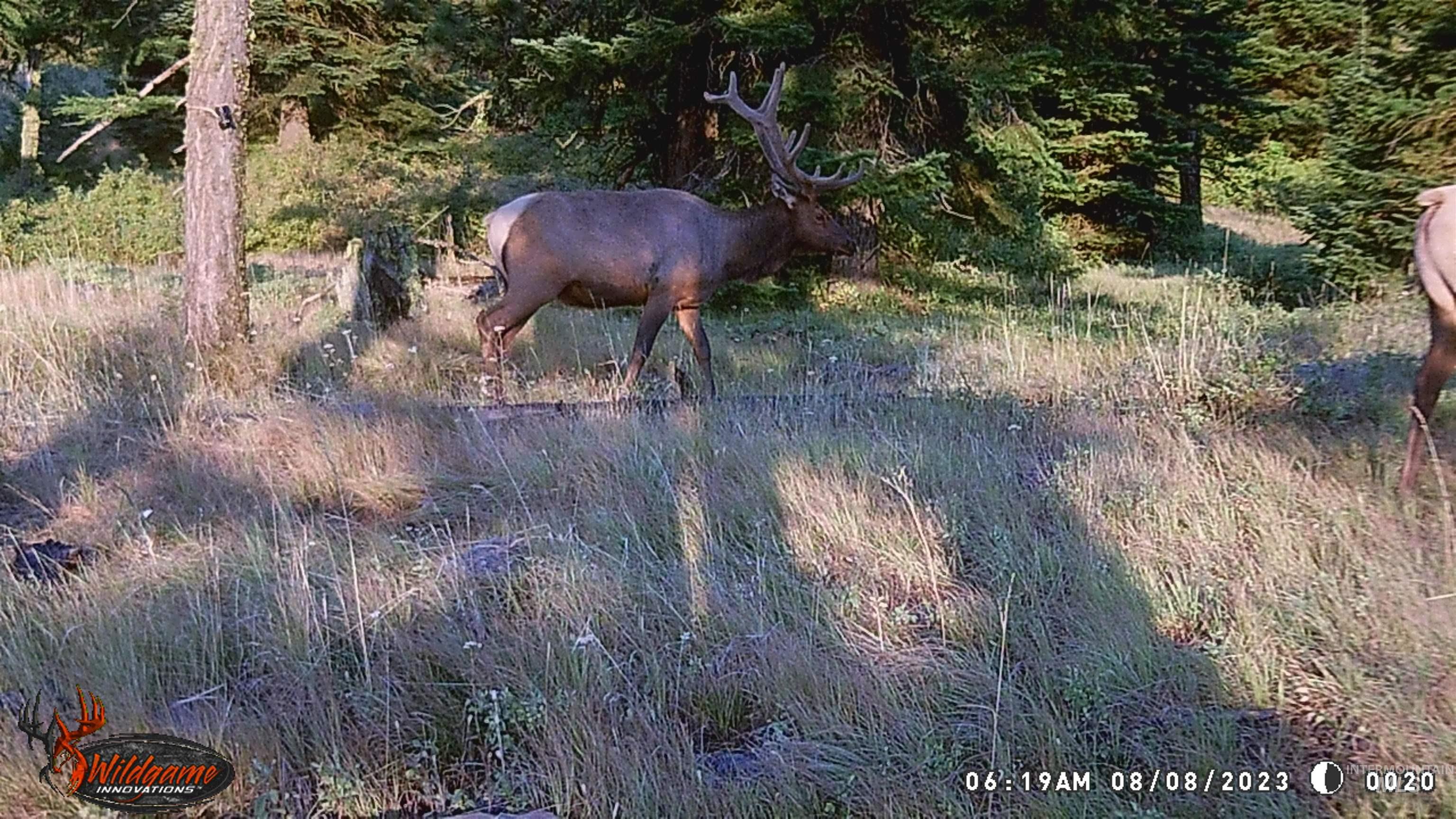 Tbd Tbd Property Photo 14