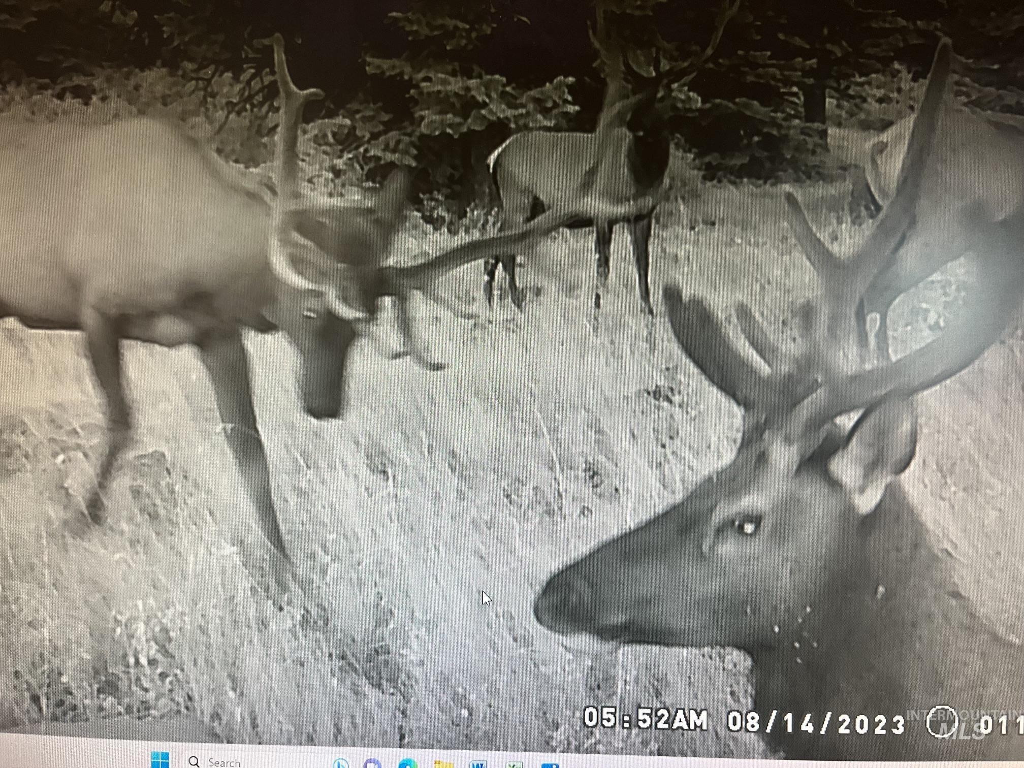 Tbd Tbd Property Photo 19