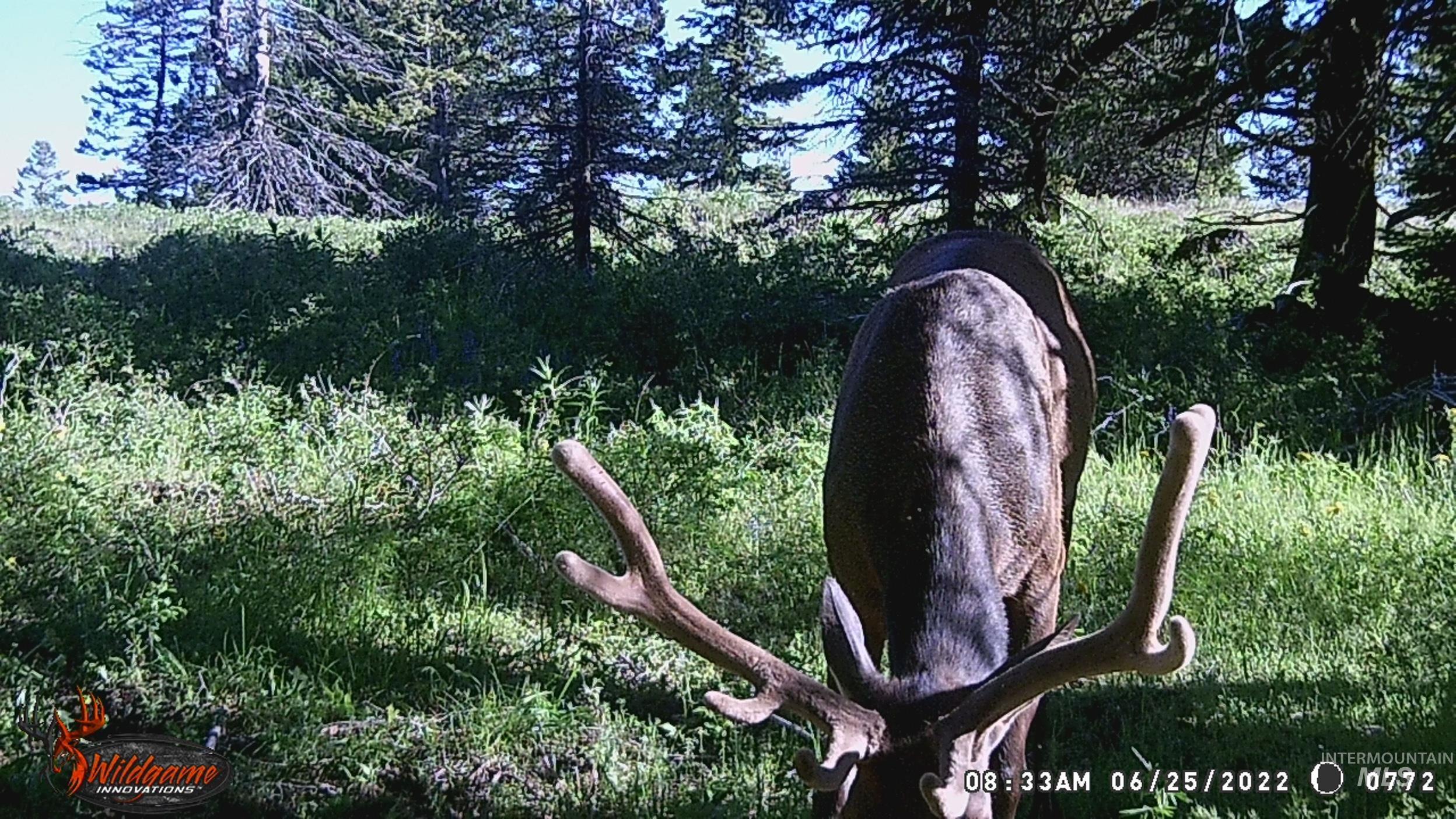 Tbd Tbd Property Photo 21