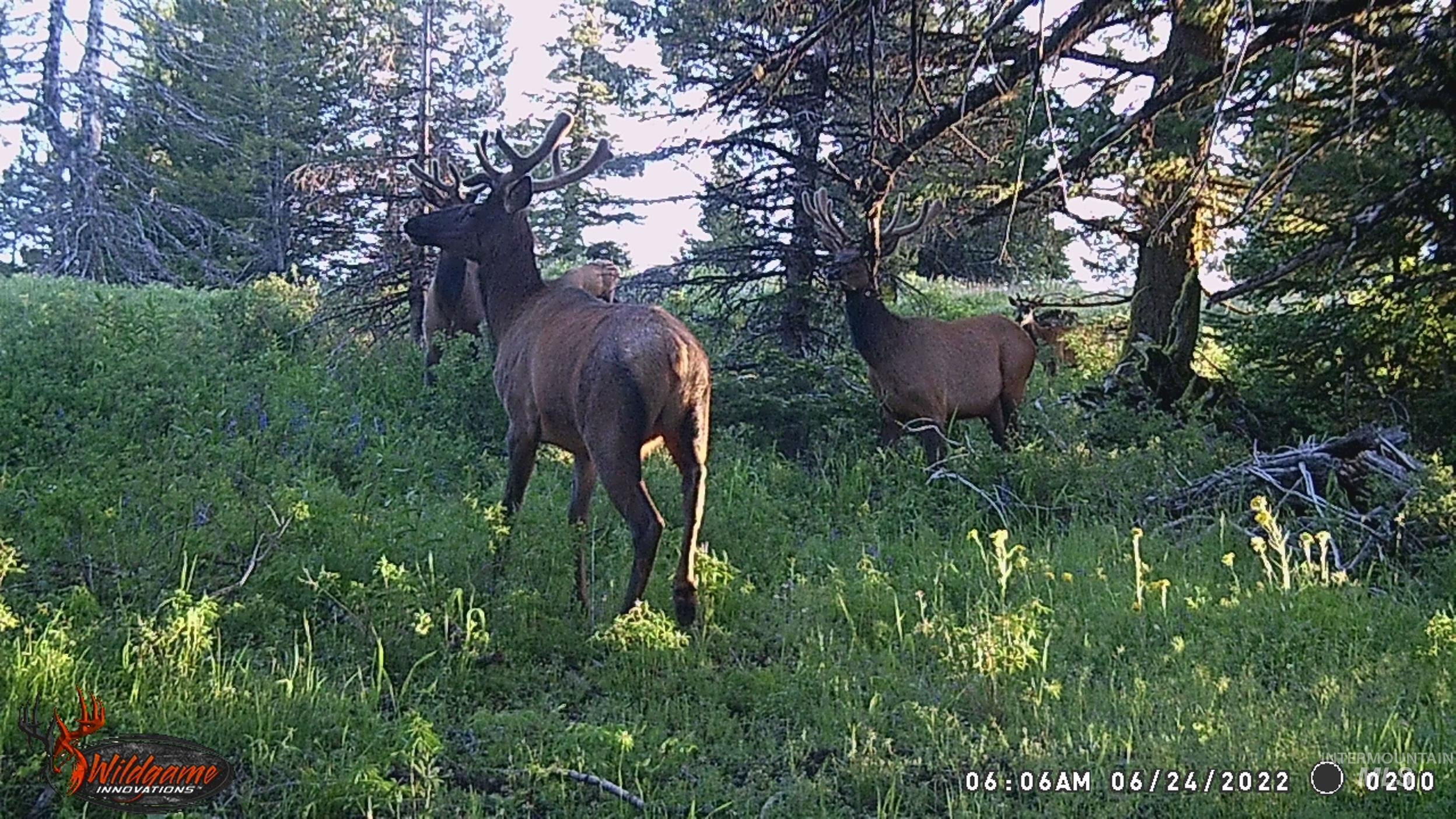 Tbd Tbd Property Photo 22
