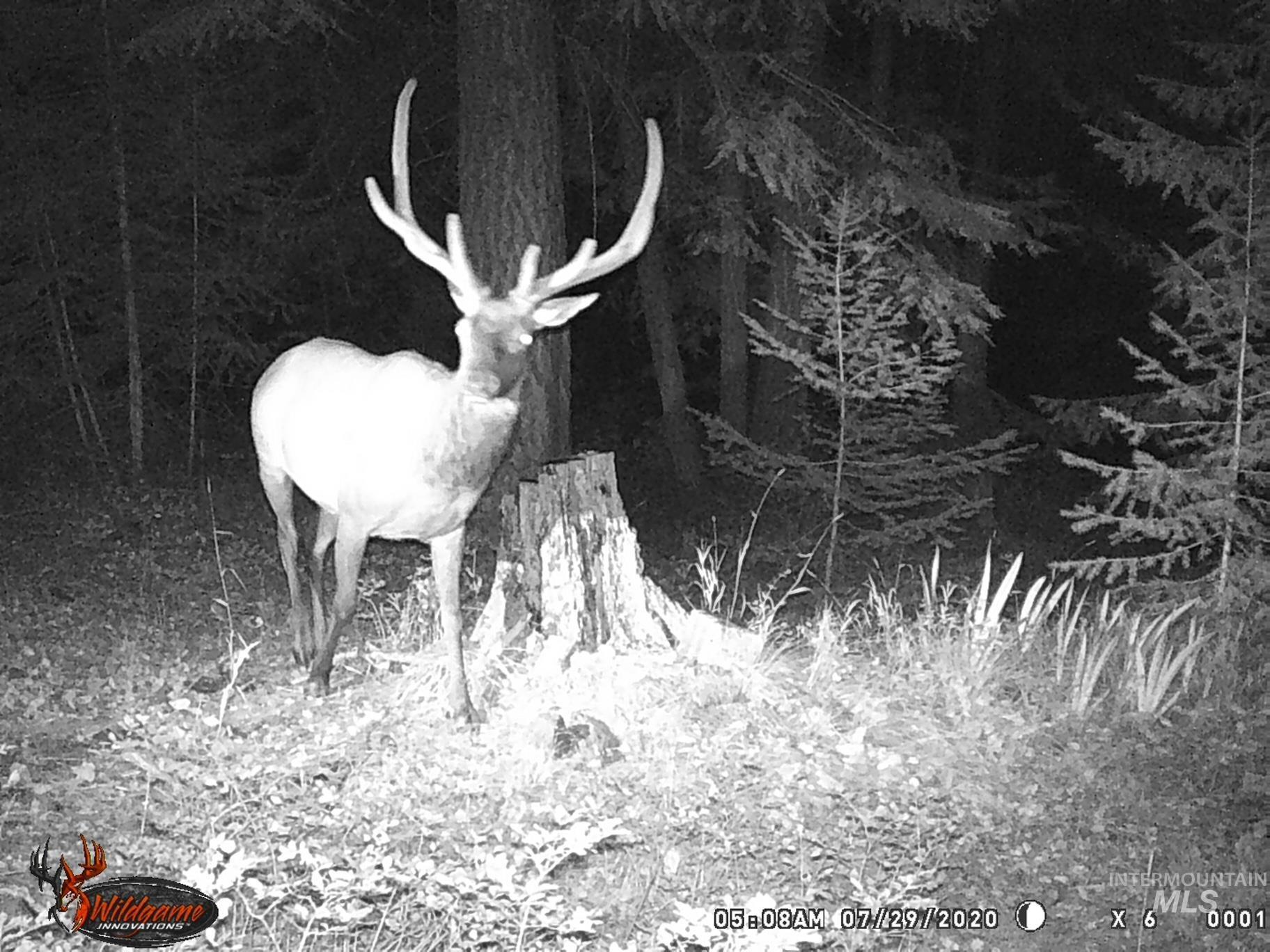 Tbd Tbd Property Photo 23