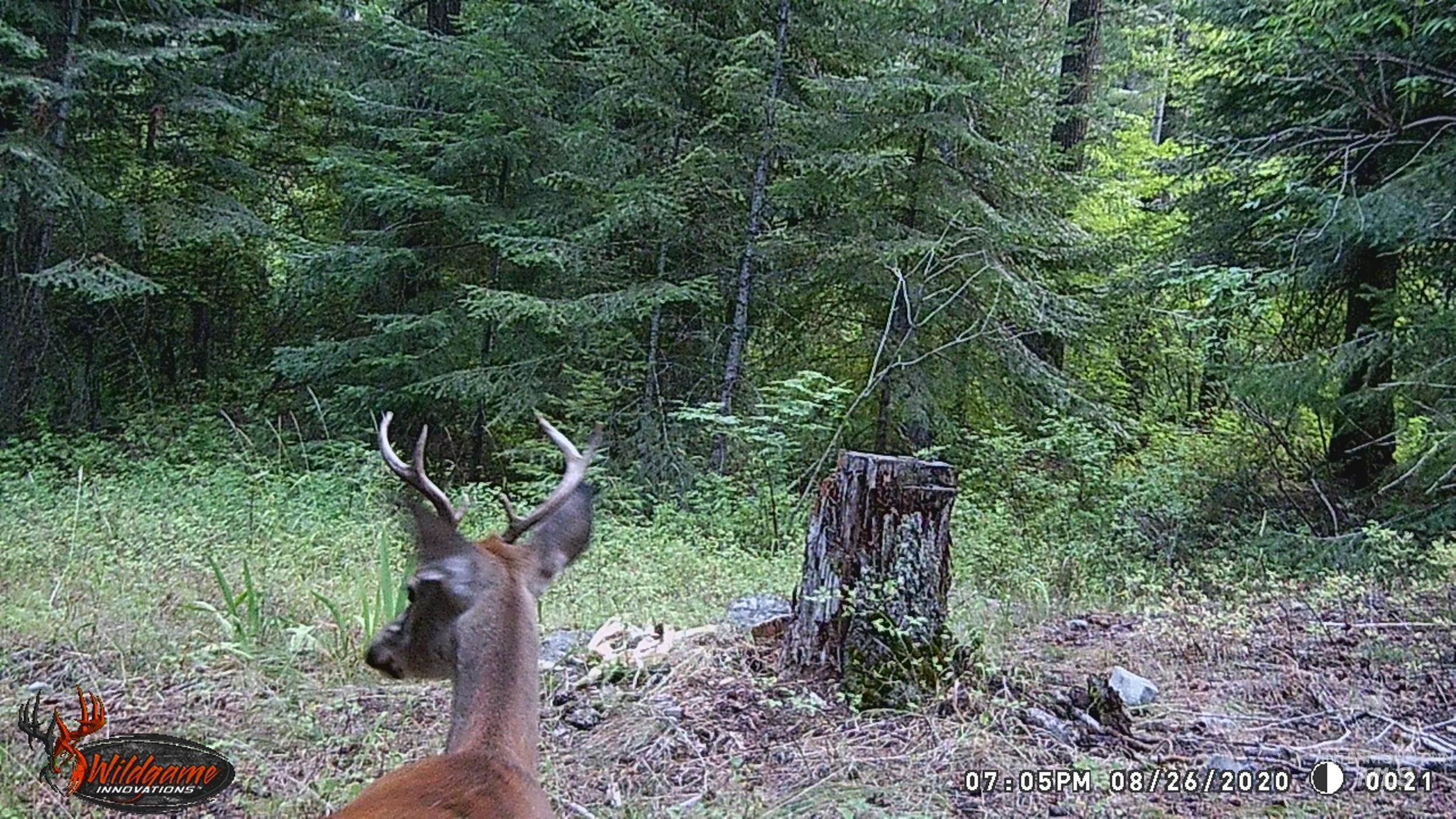 Tbd Tbd Property Photo 26