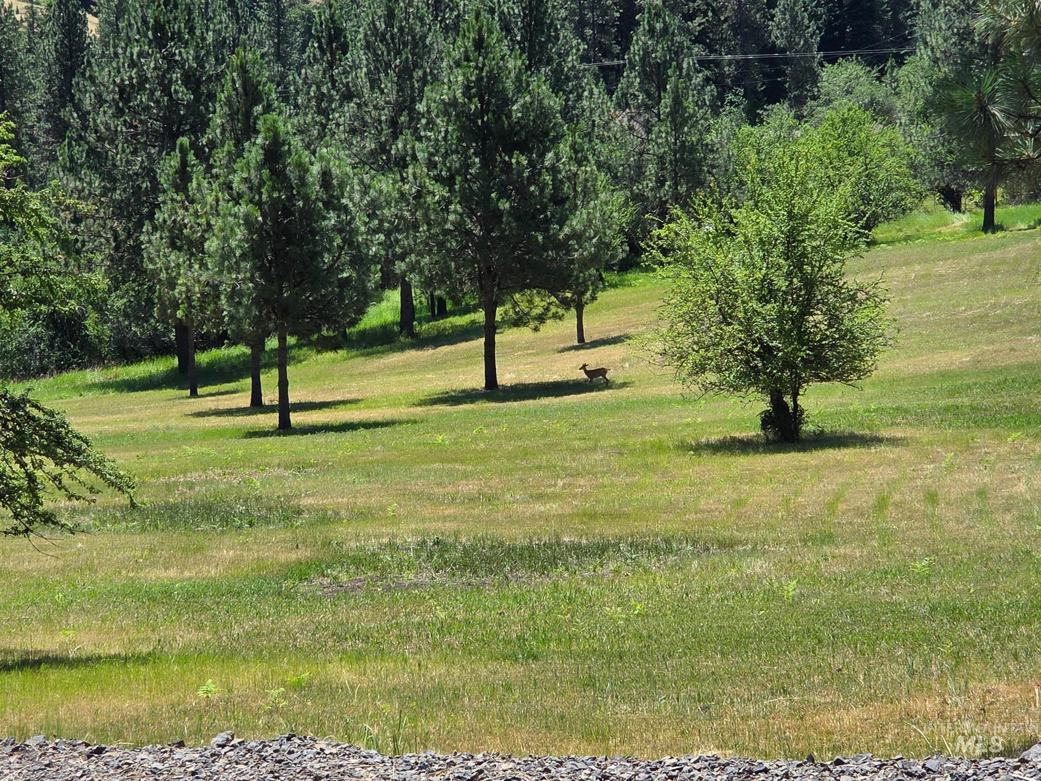 TBD Wild Plum Lane