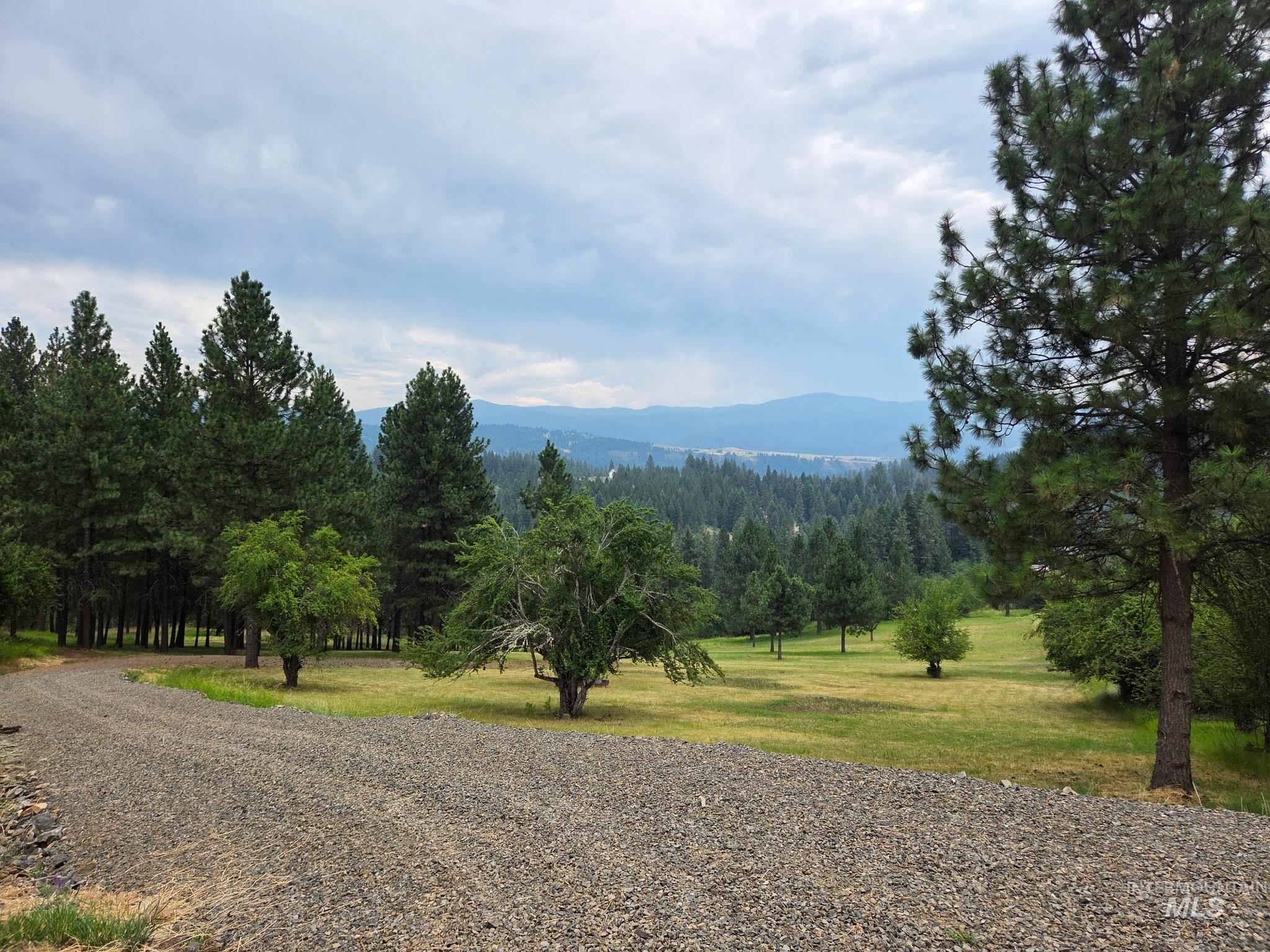 Tbd Wild Plum Lane Property Photo 2
