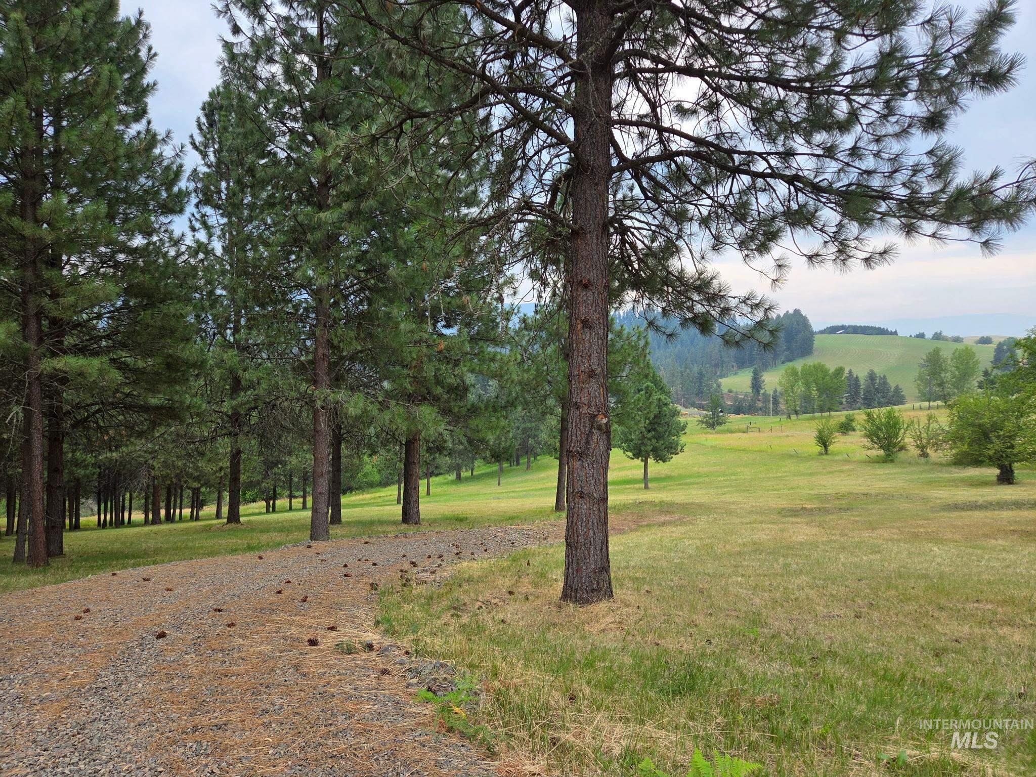 Tbd Wild Plum Lane Property Photo 3