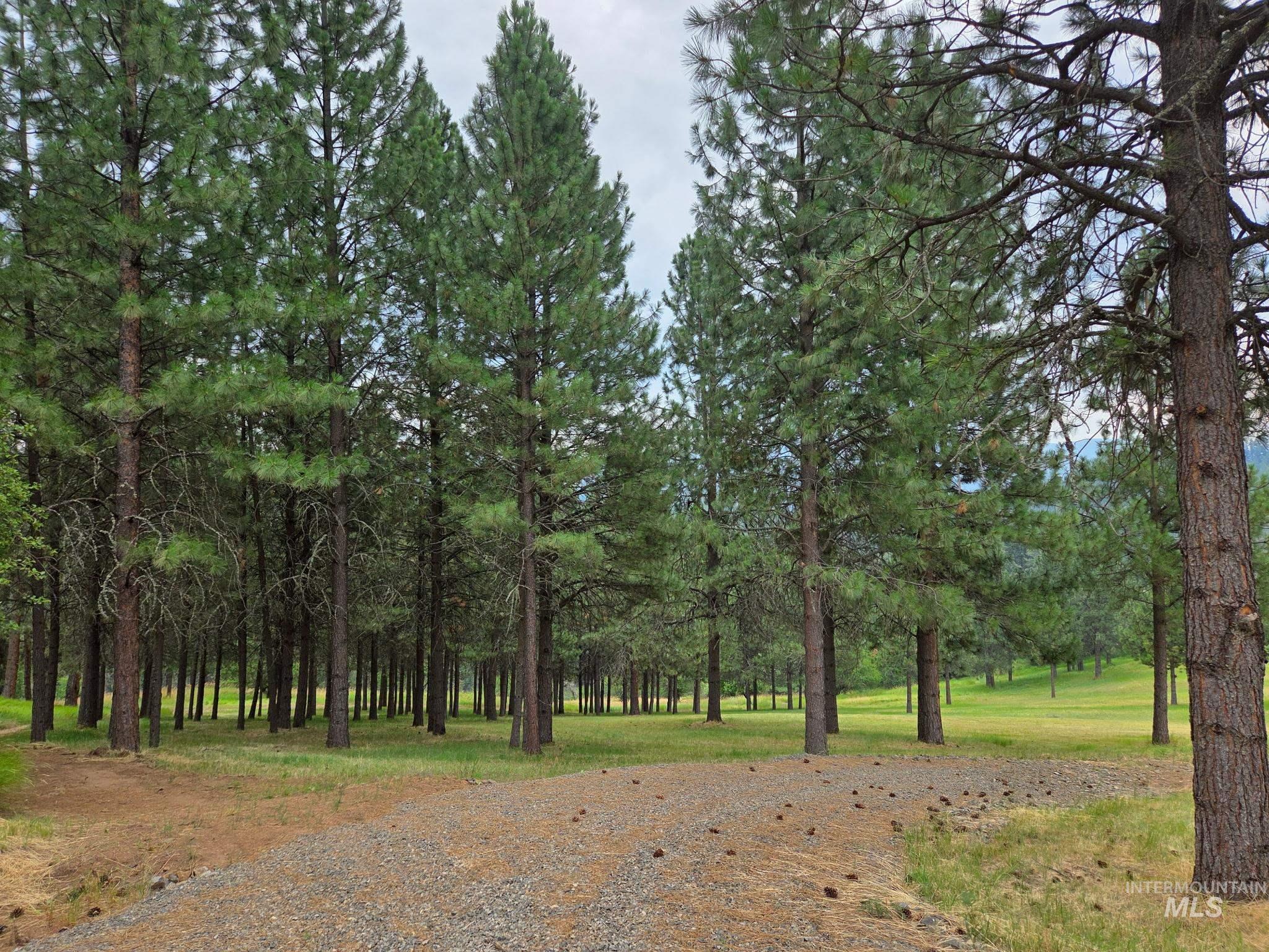 Tbd Wild Plum Lane Property Photo 4