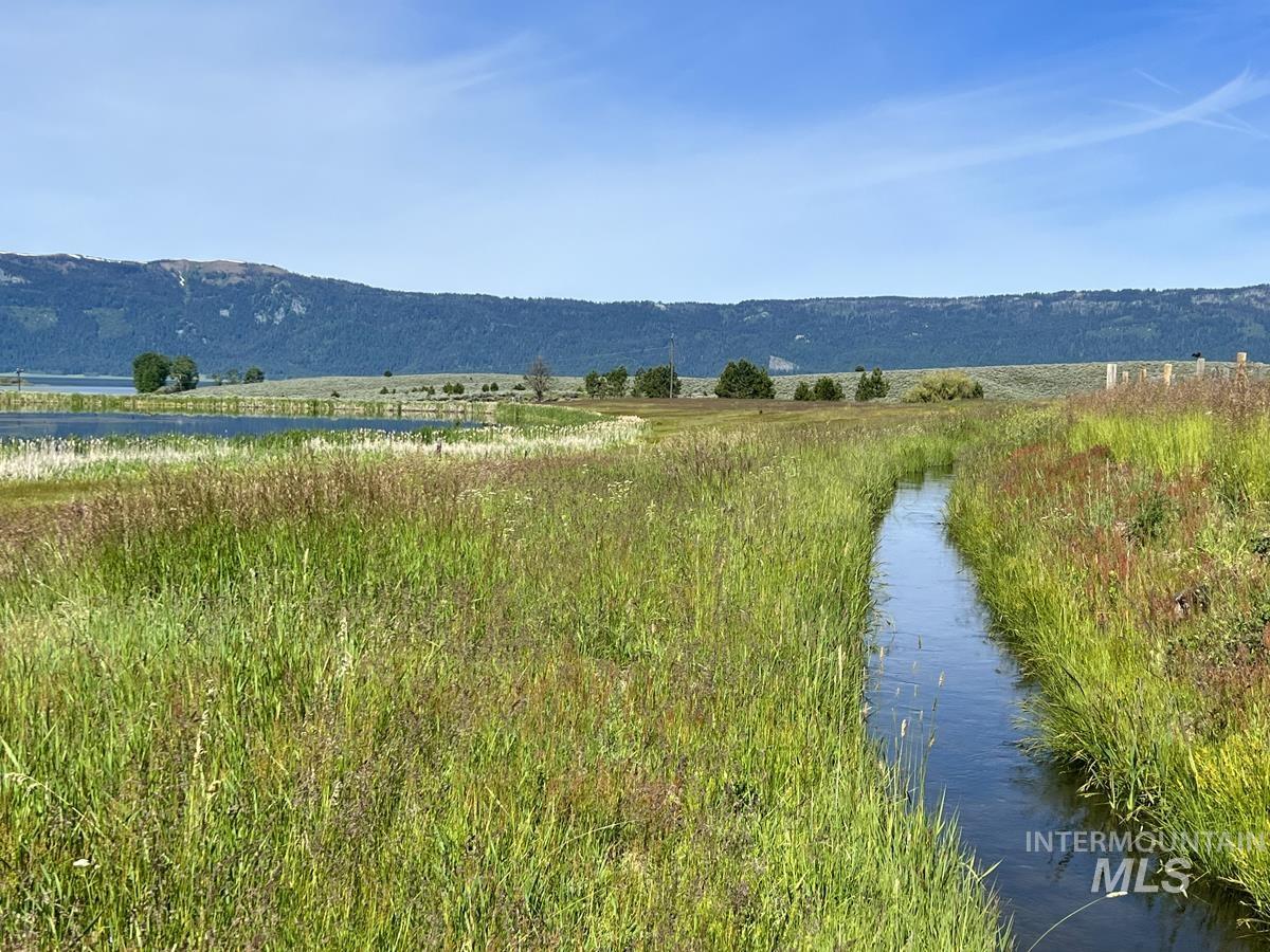 1765 Pine Lakes Ranch Drive Property Photo 3