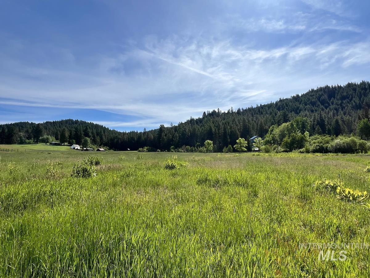 1765 Pine Lakes Ranch Drive Property Photo 11