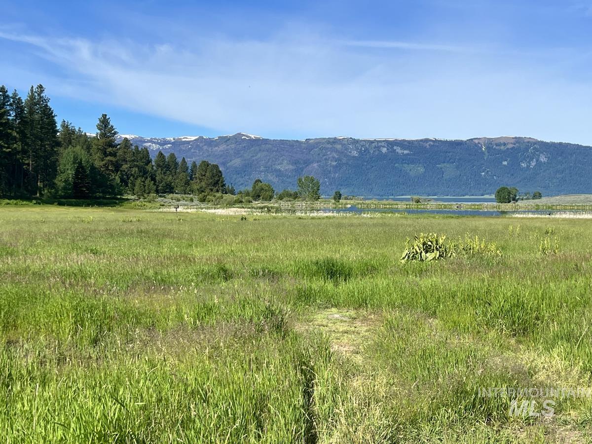 1765 Pine Lakes Ranch Drive Property Photo 12
