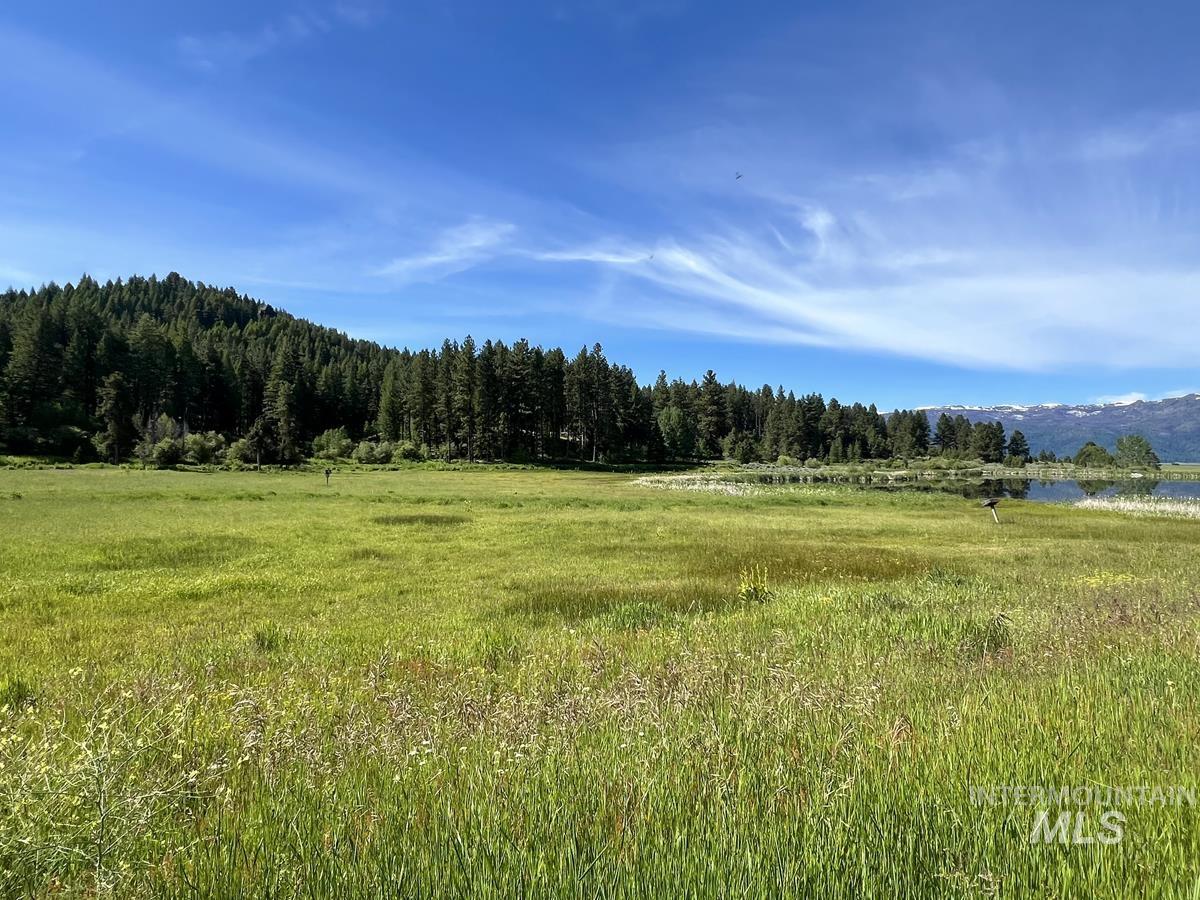 1765 Pine Lakes Ranch Drive Property Photo 14