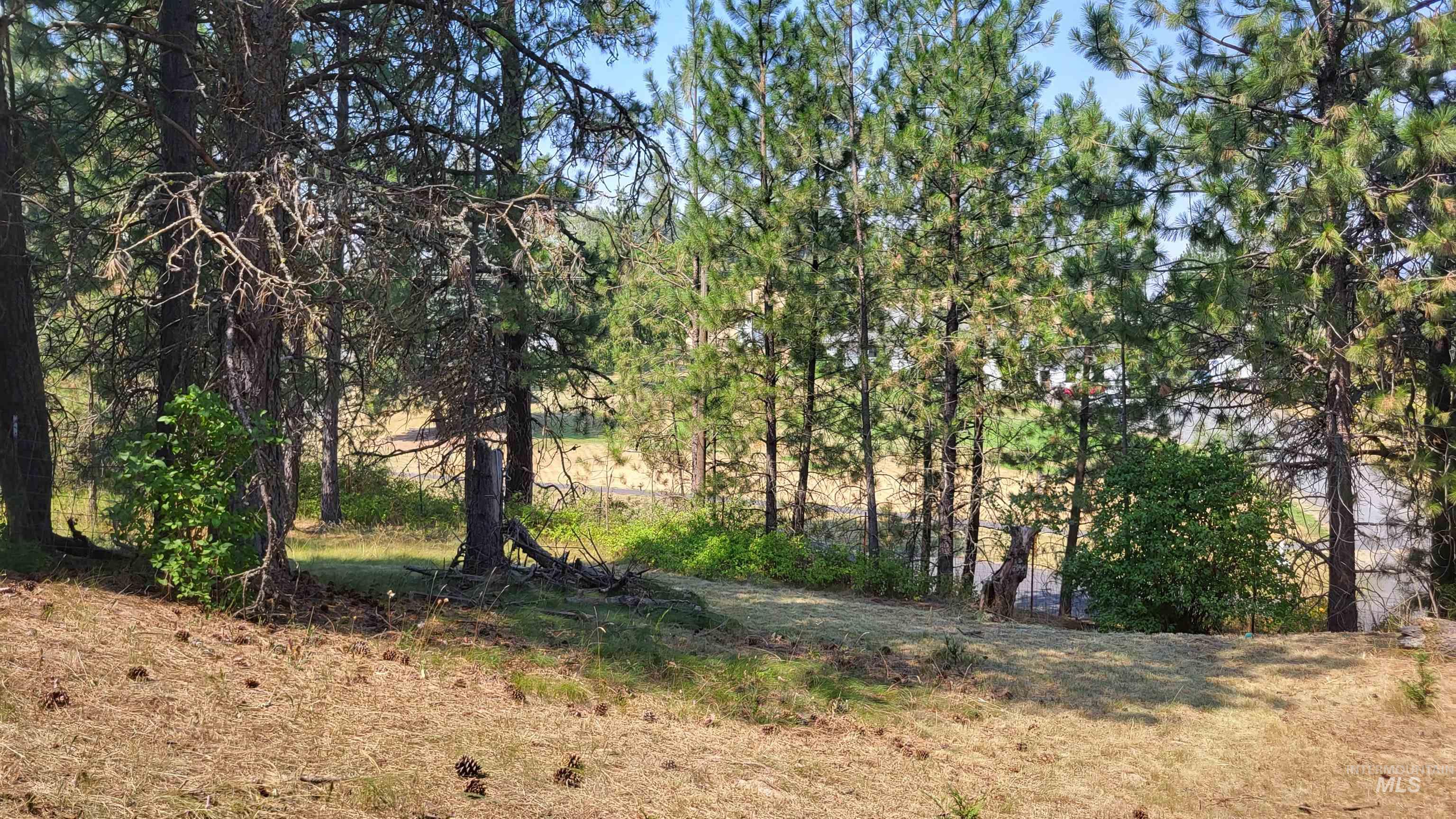 334 Big Meadow Road Property Photo 43