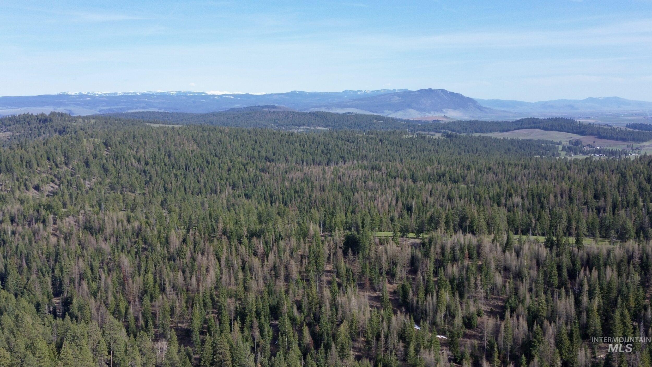Tbd Highway 204 Property Photo 1