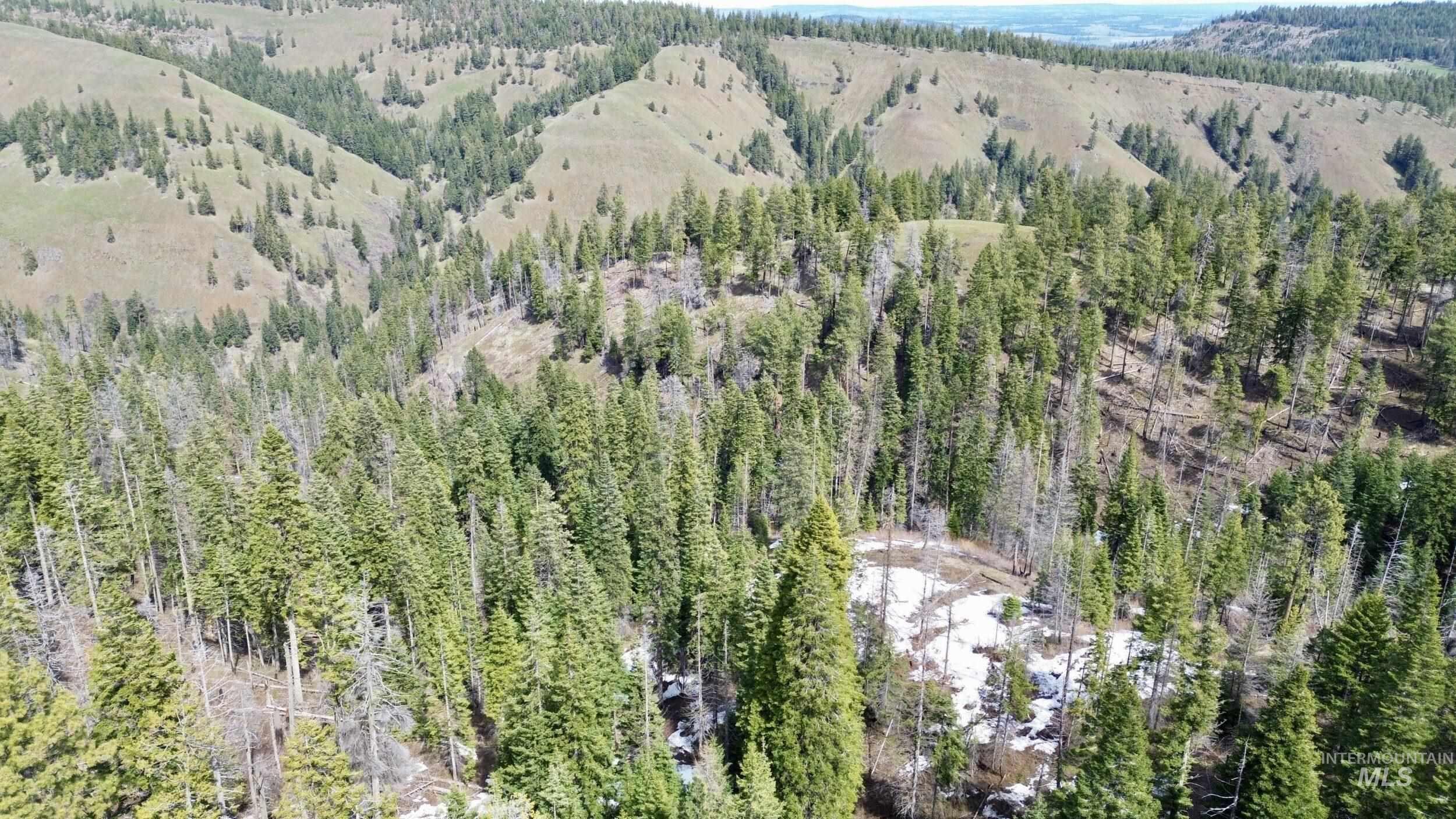 Tbd Highway 204 Property Photo 4