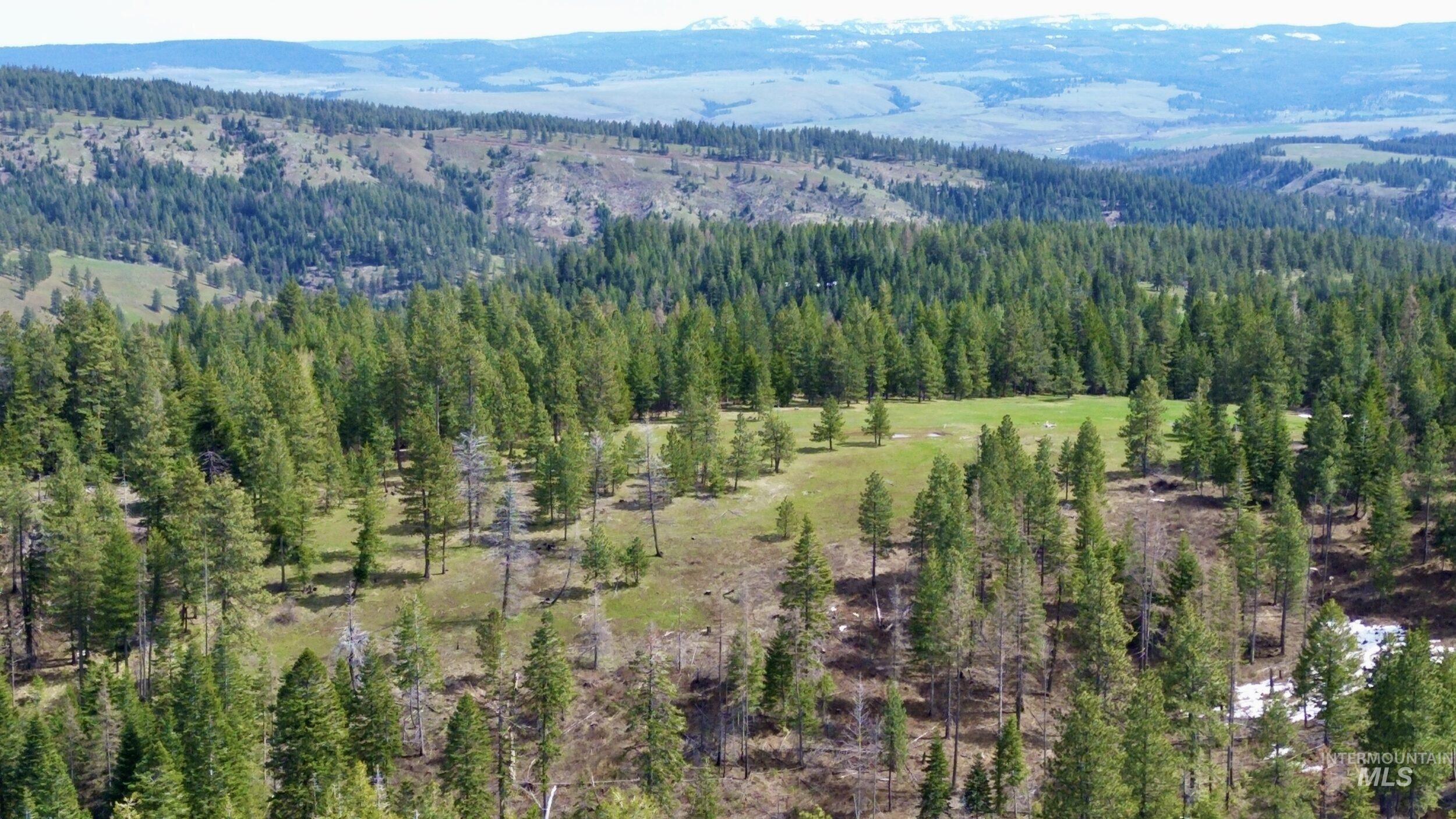 Tbd Highway 204 Property Photo 5