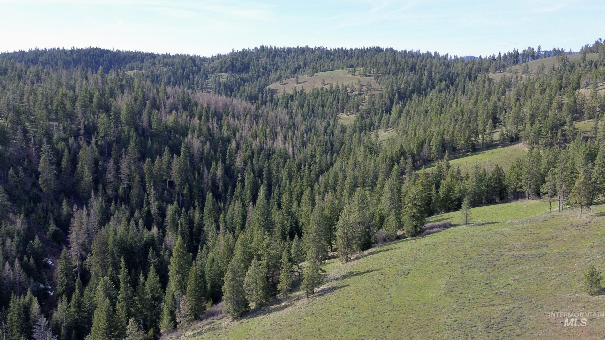 Tbd Highway 204 Property Photo 6