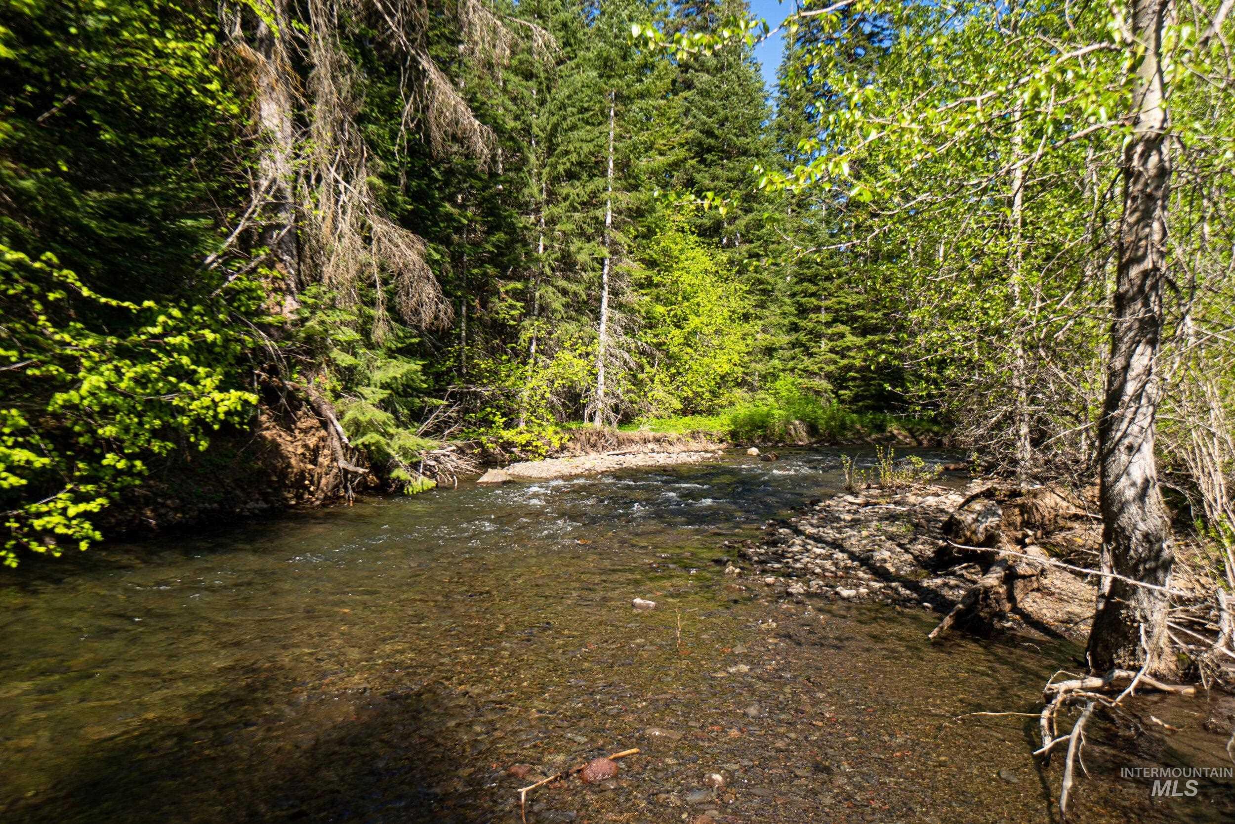 Tbd Highway 204 Property Photo 8