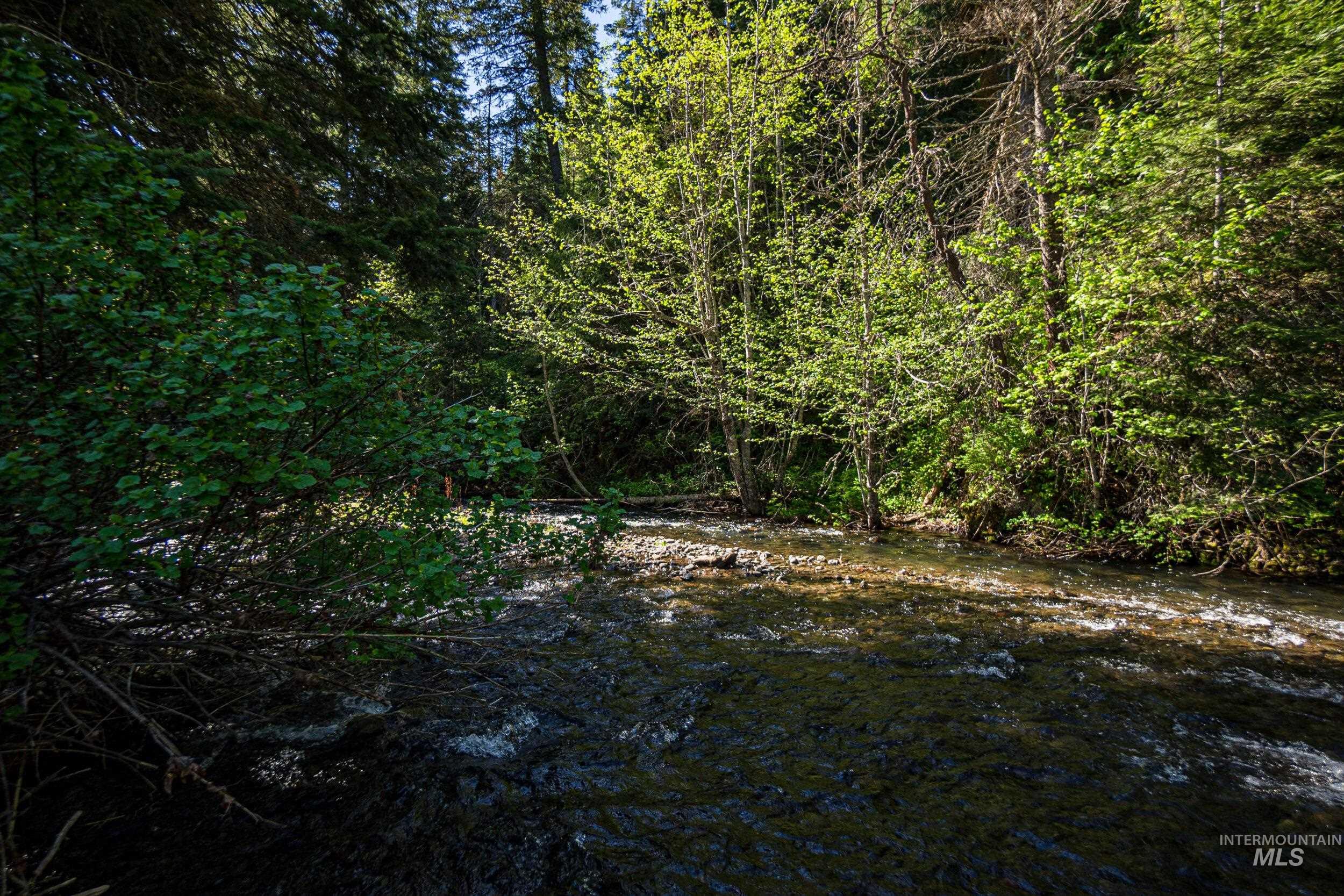Tbd Highway 204 Property Photo 9