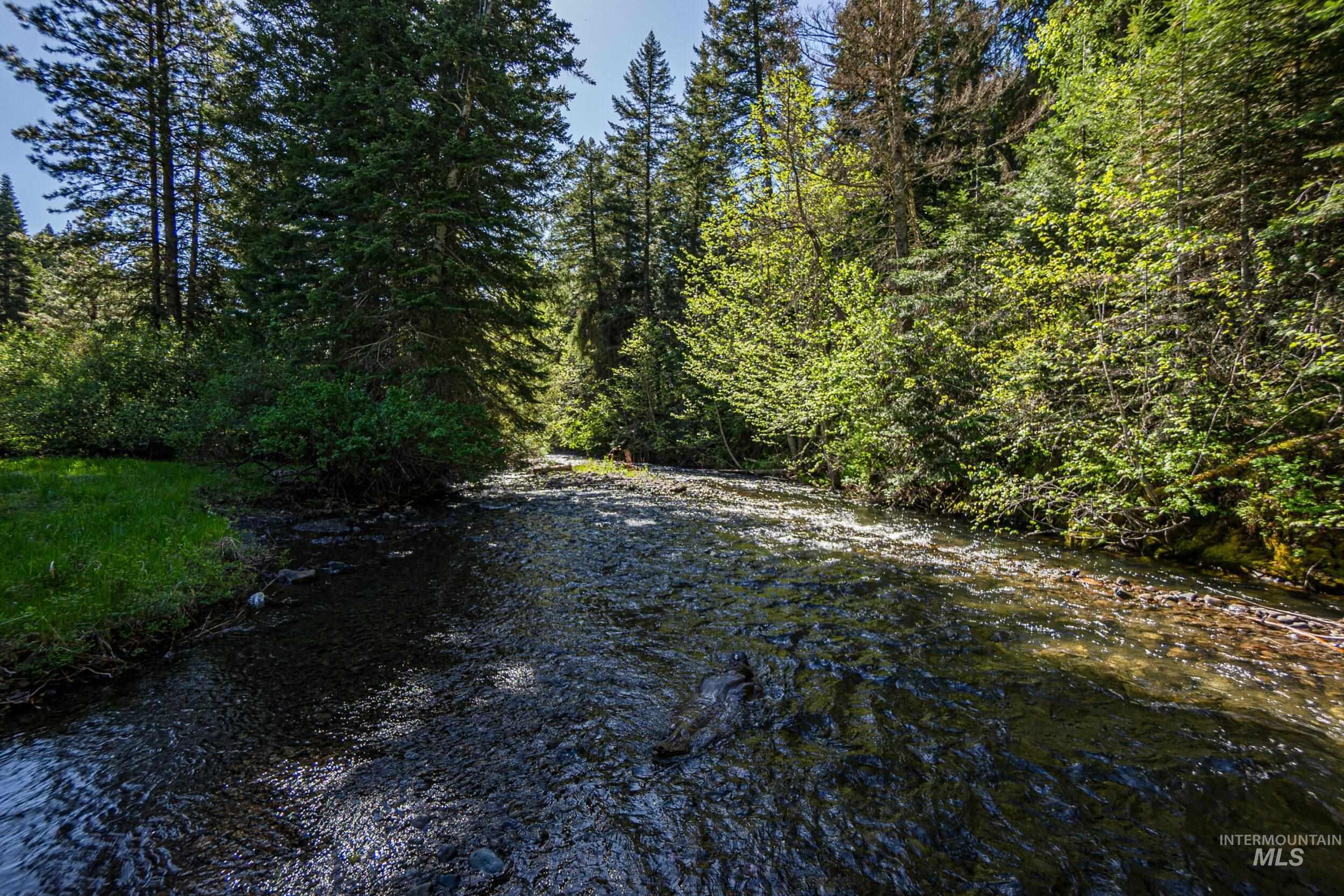 Tbd Highway 204 Property Photo 10