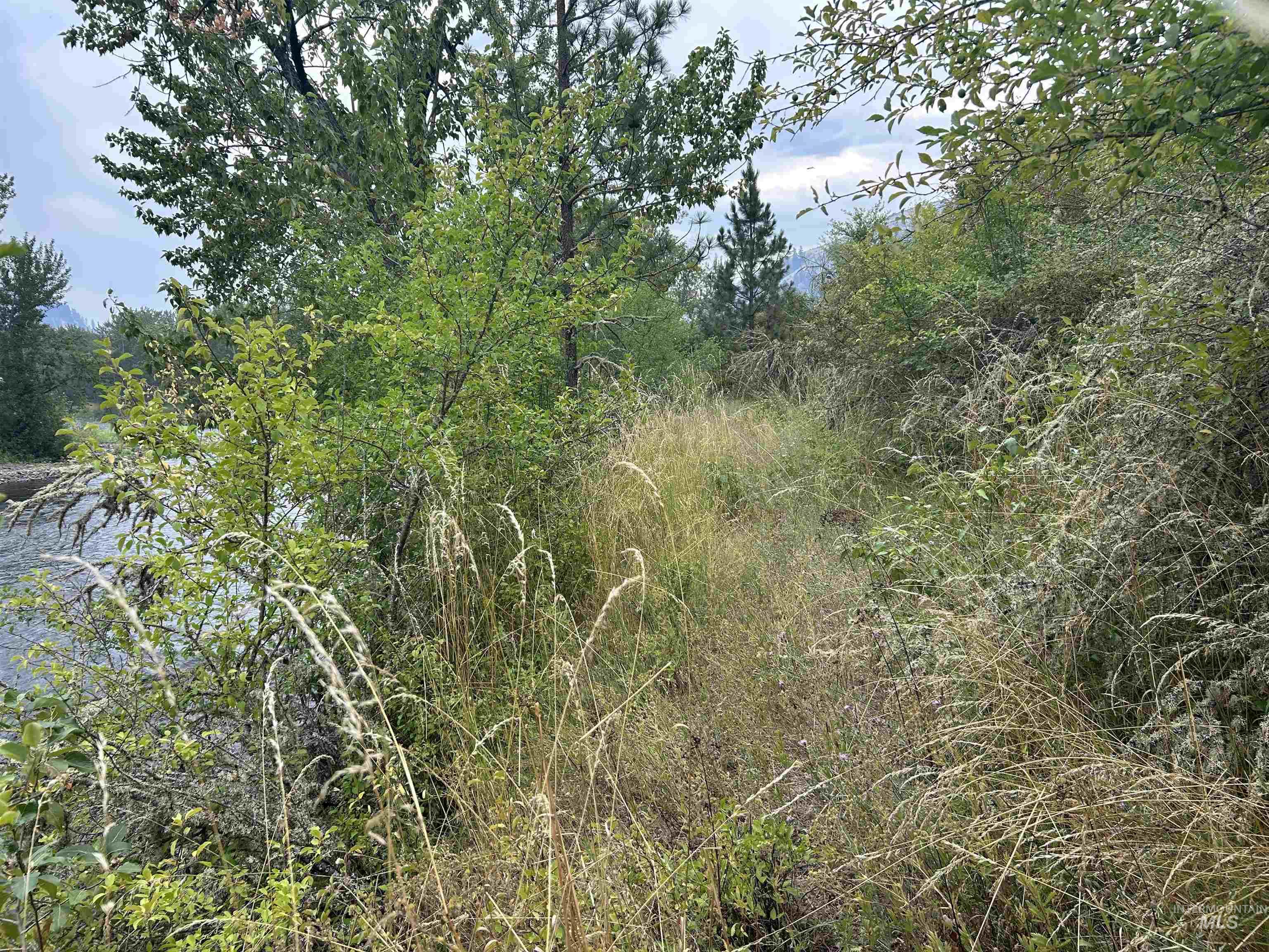 Tbd Lukes Gulch Road Property Photo 22