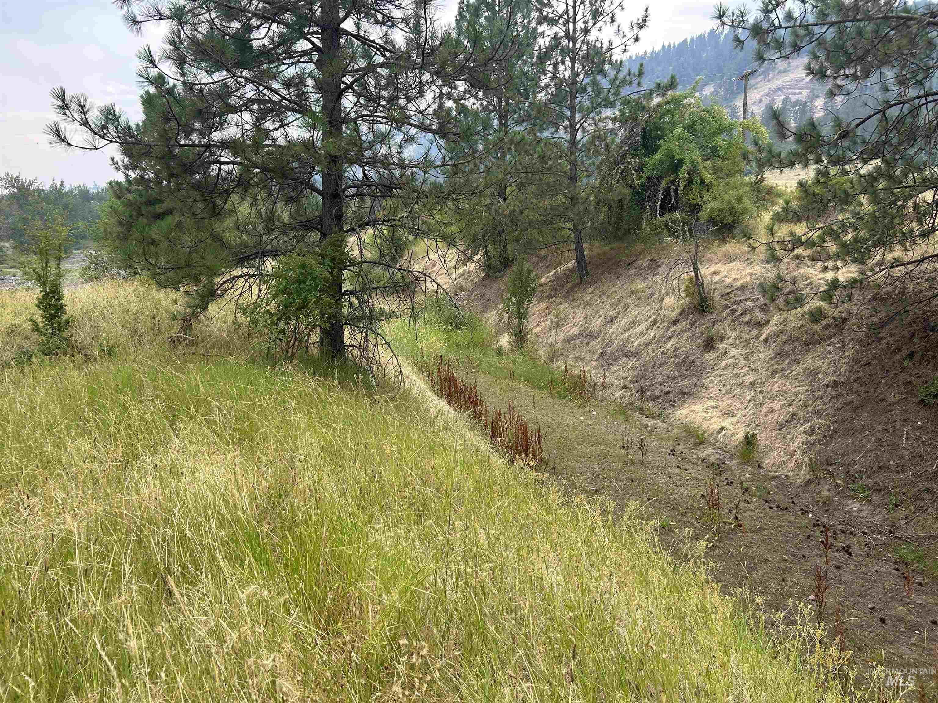 Tbd Lukes Gulch Road Property Photo 29