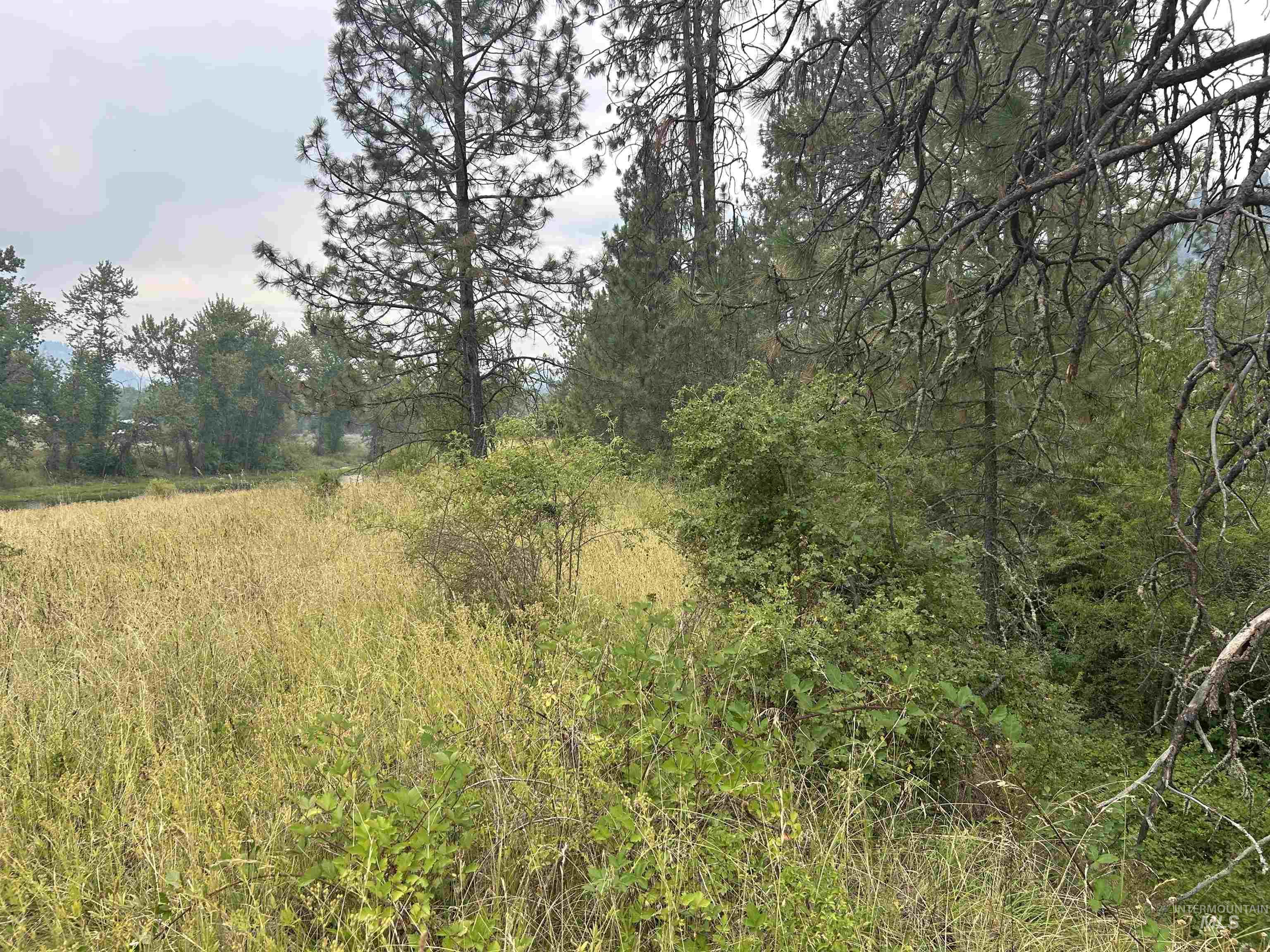 Tbd Lukes Gulch Road Property Photo 31