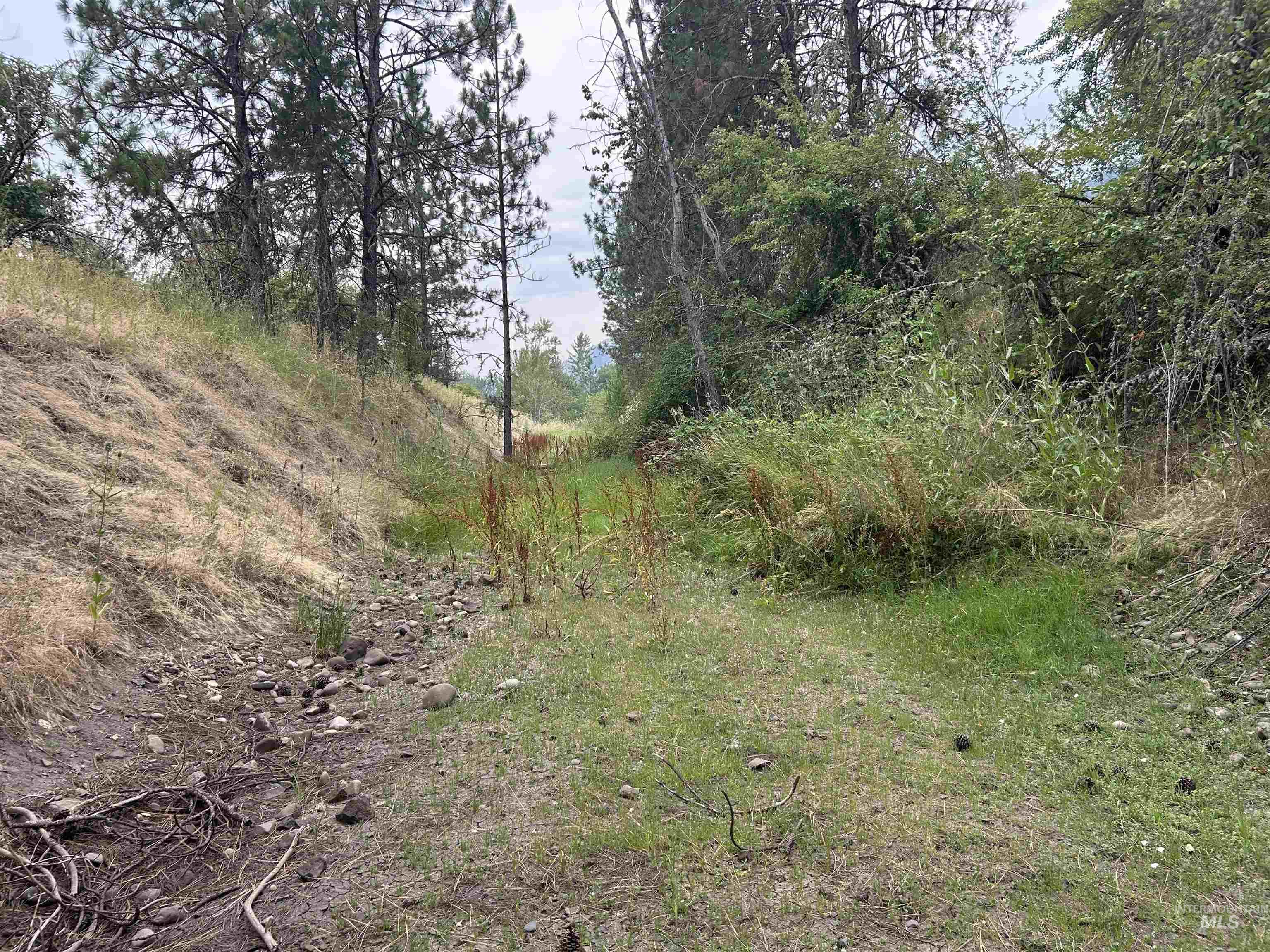 Tbd Lukes Gulch Road Property Photo 32