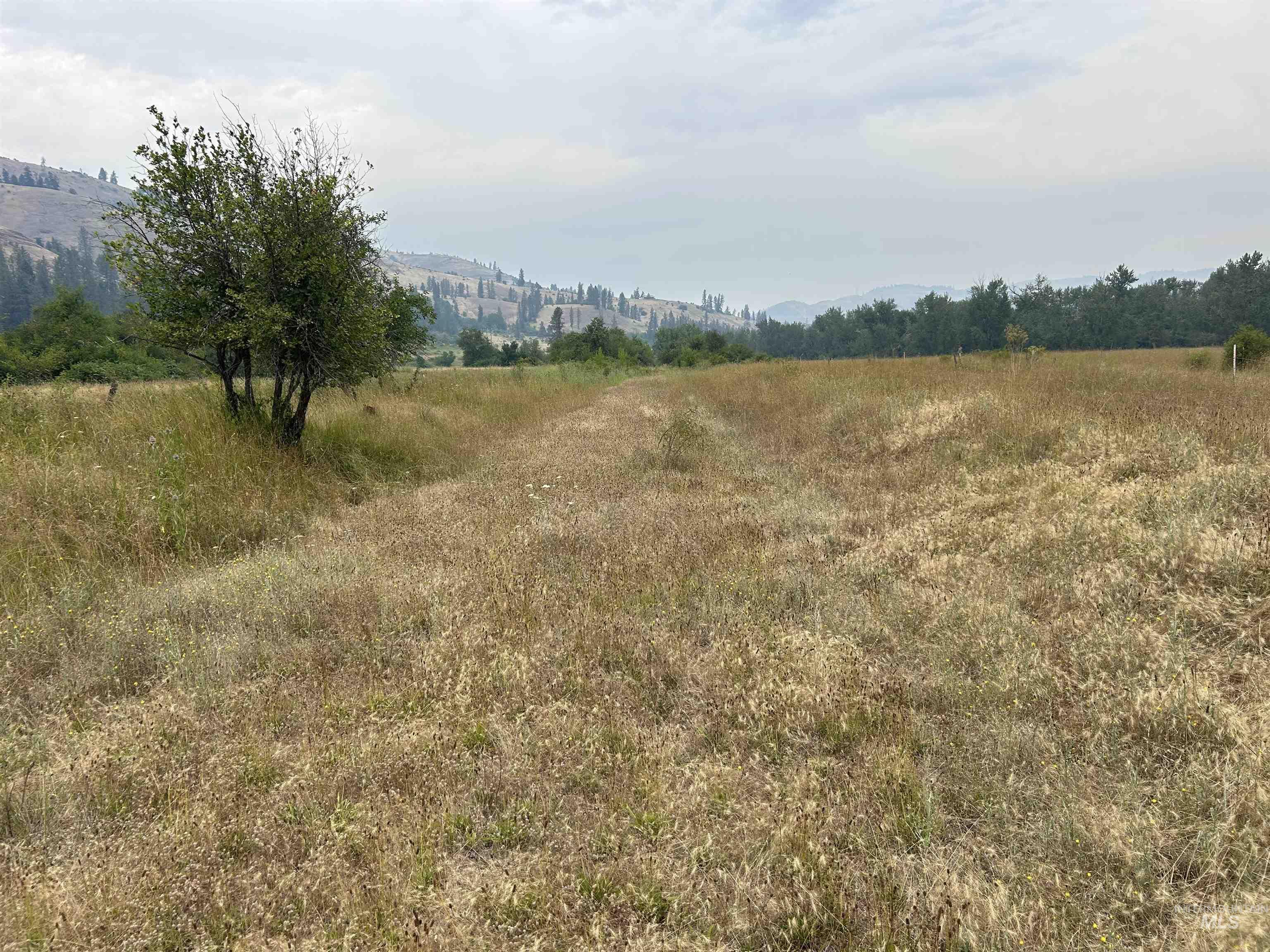 Tbd Lukes Gulch Road Property Photo 33