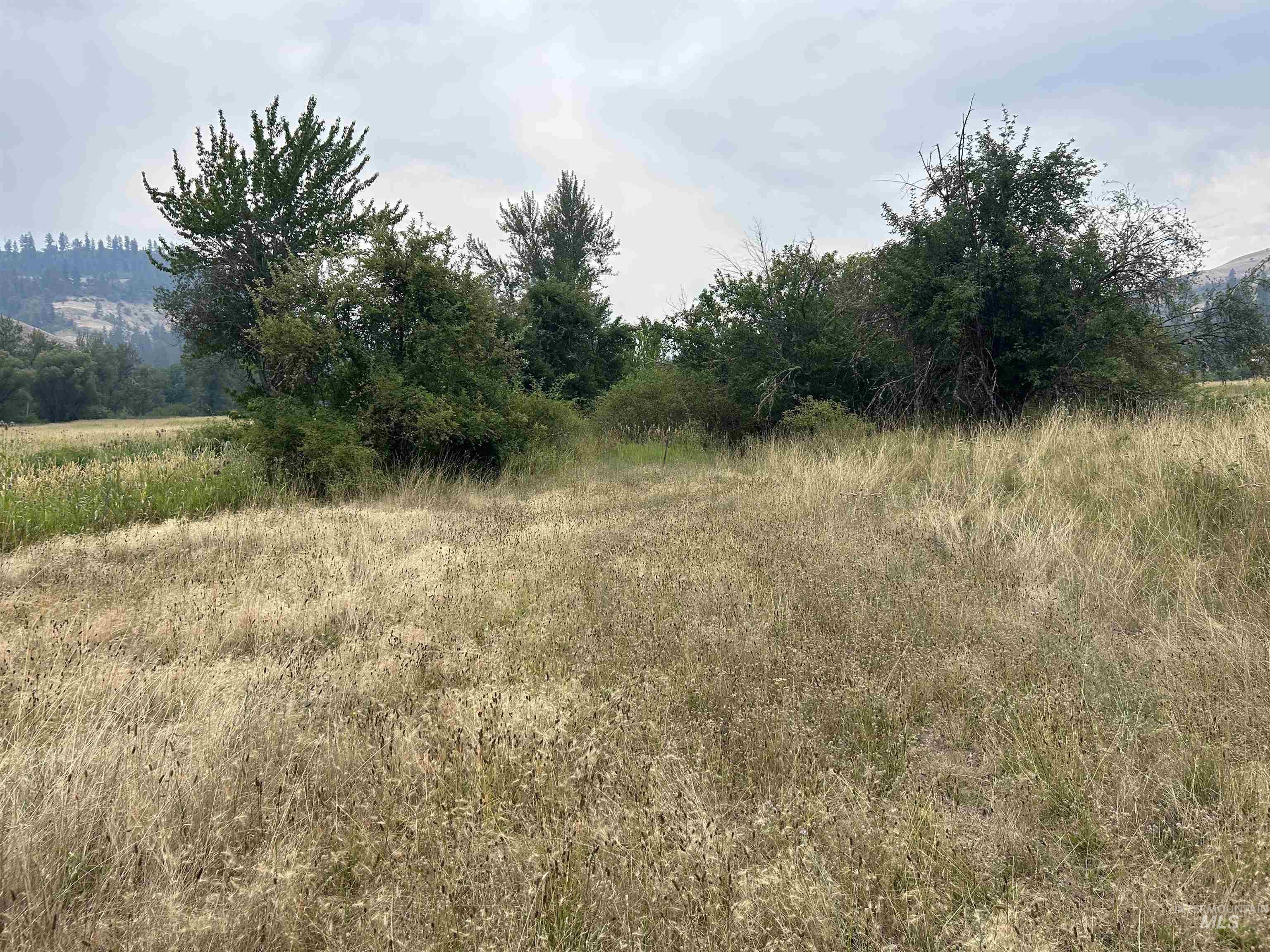 Tbd Lukes Gulch Road Property Photo 34