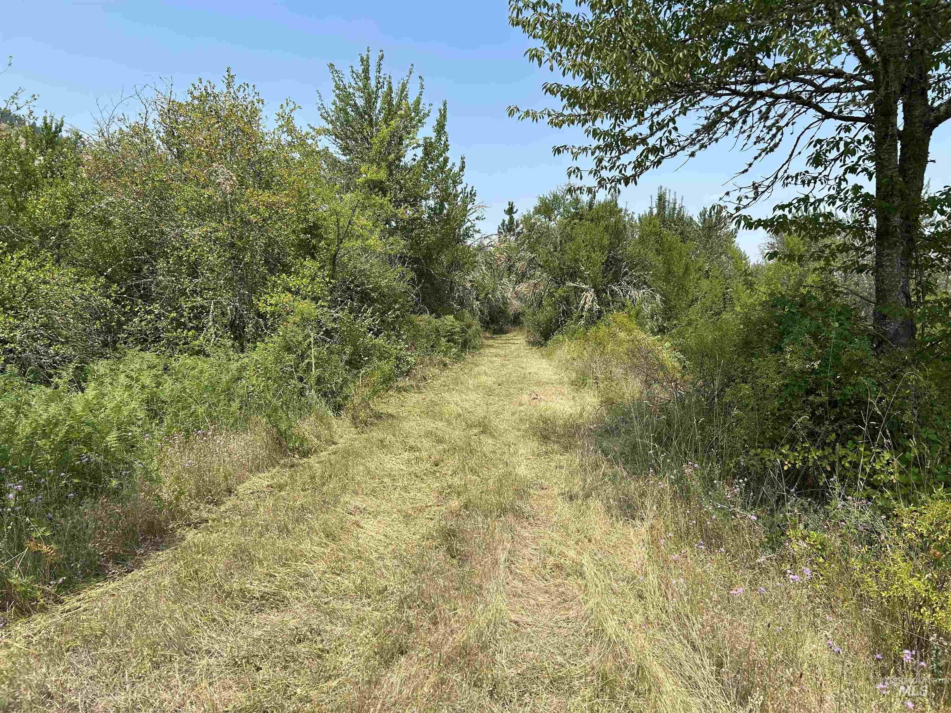 Tbd Lukes Gulch Road Property Photo 35