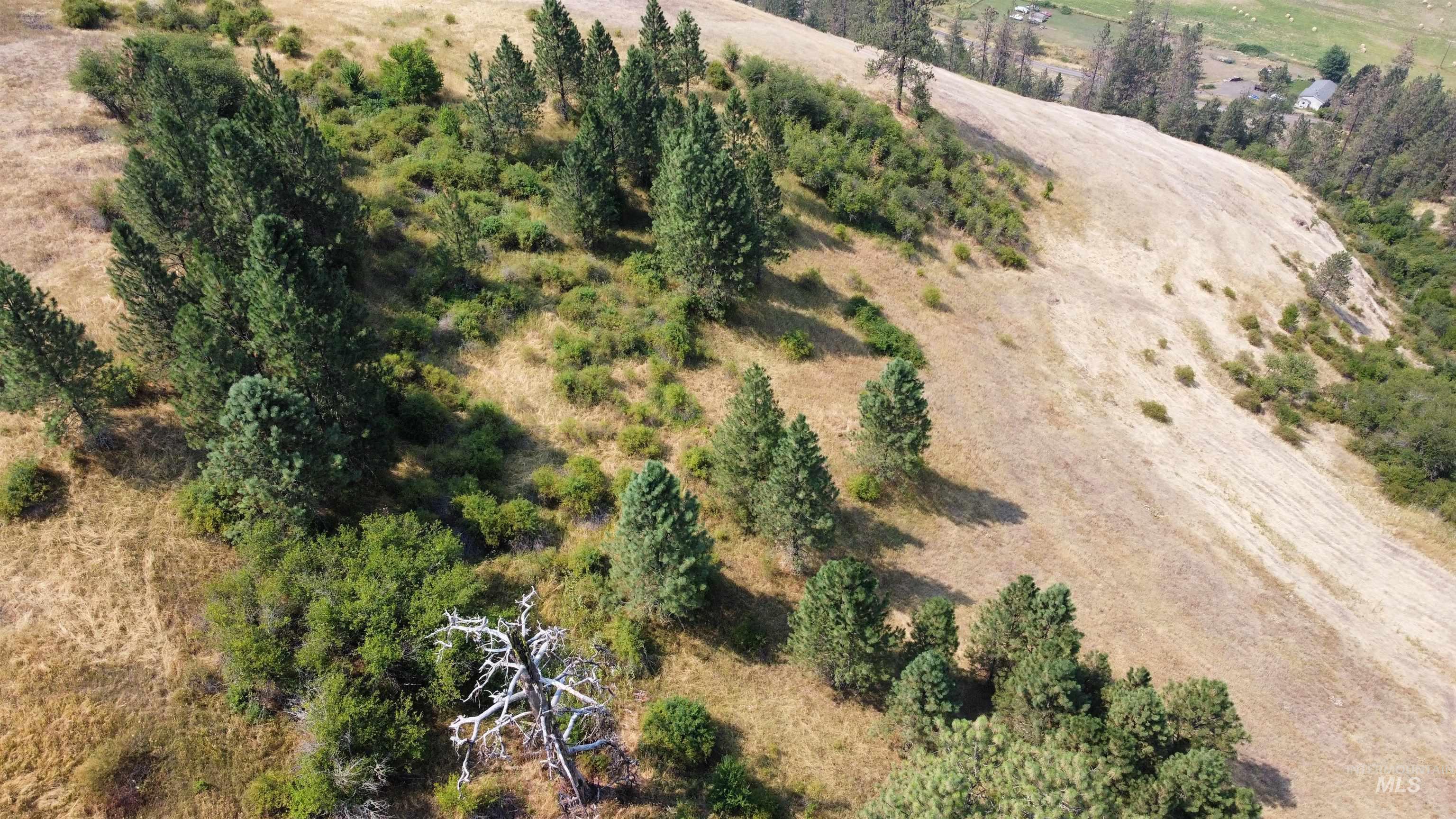 Tbd Hwy 13 Property Photo 10