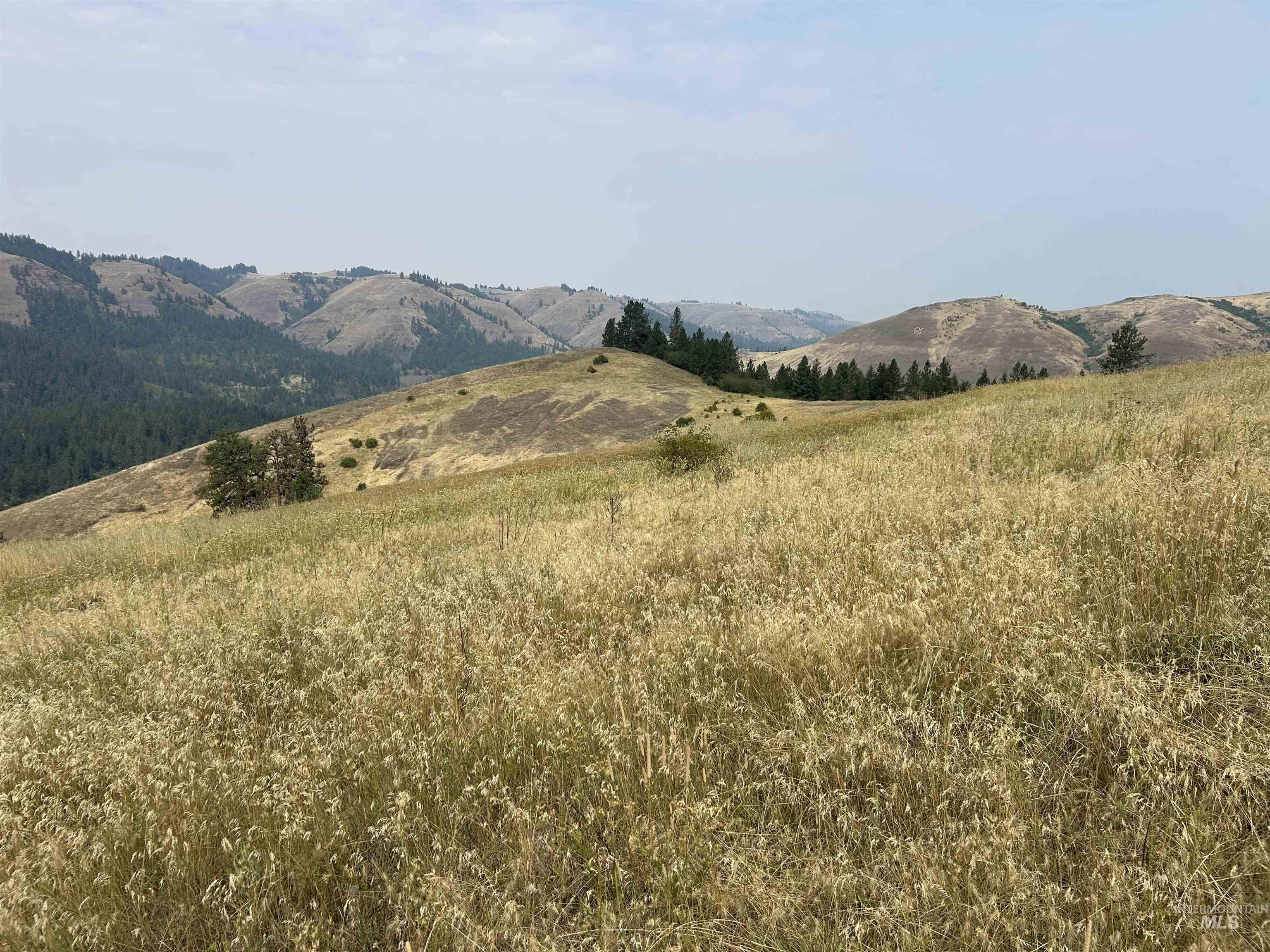 Tbd Hwy 13 Property Photo 19