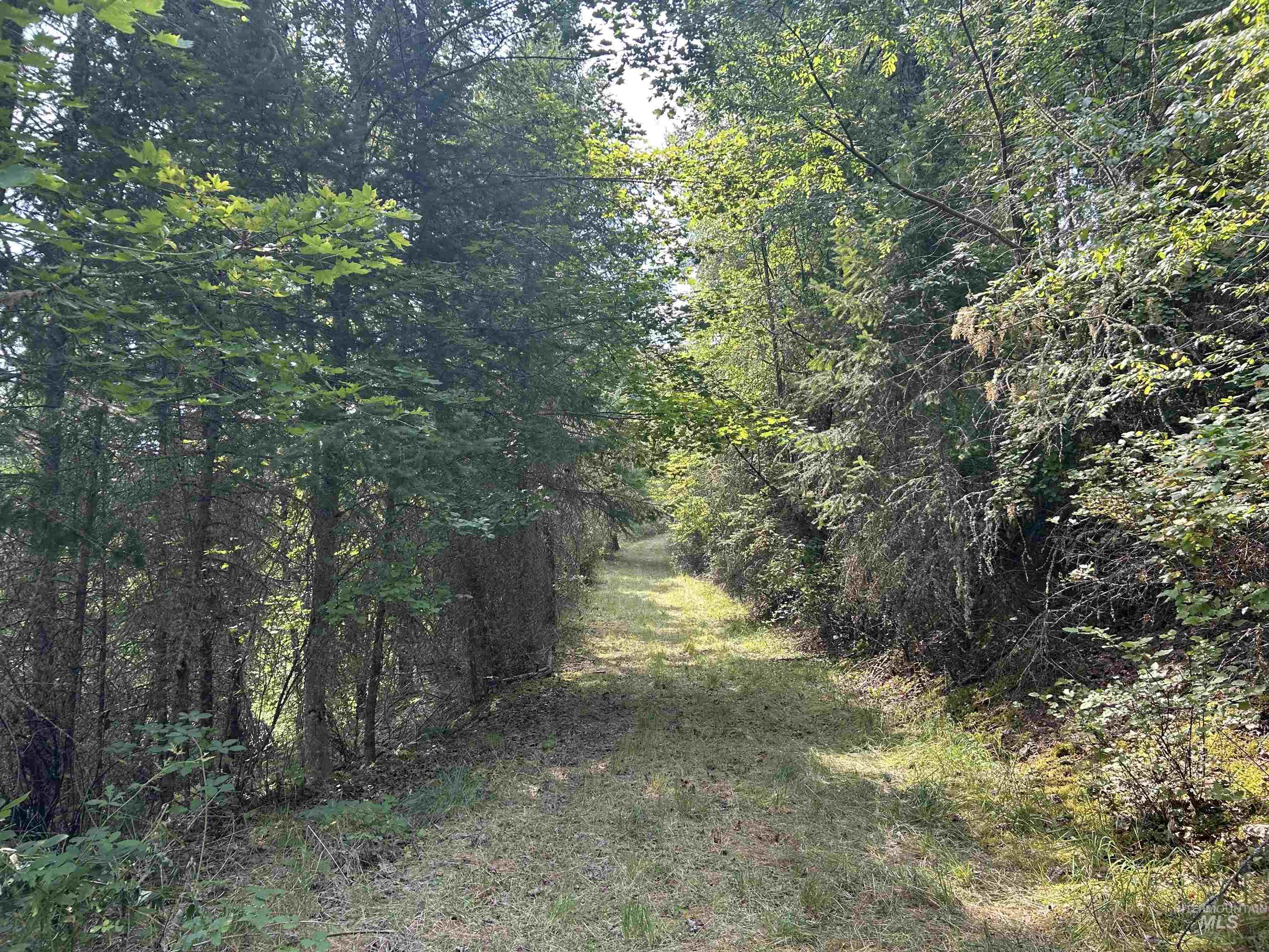 Tbd Hwy 13 Property Photo 24