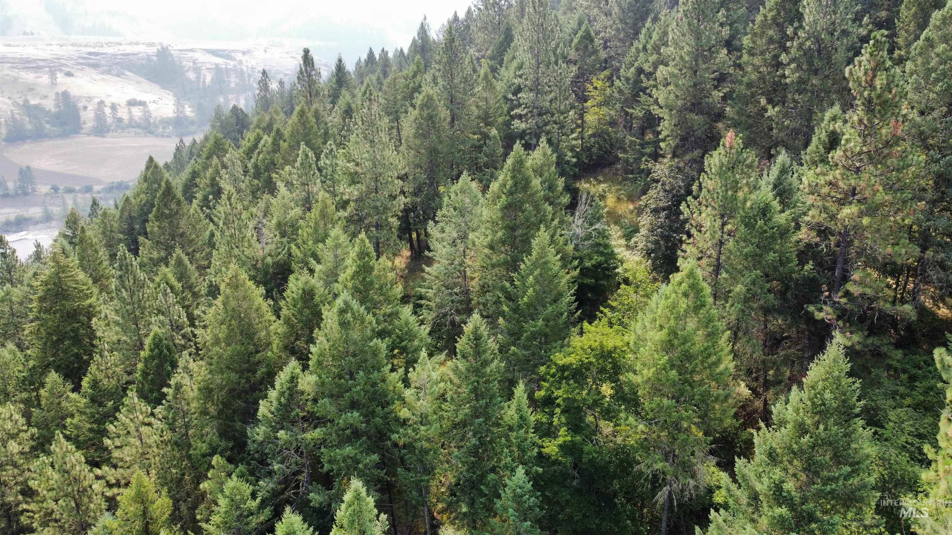 Tbd Hwy 13 Property Photo 26