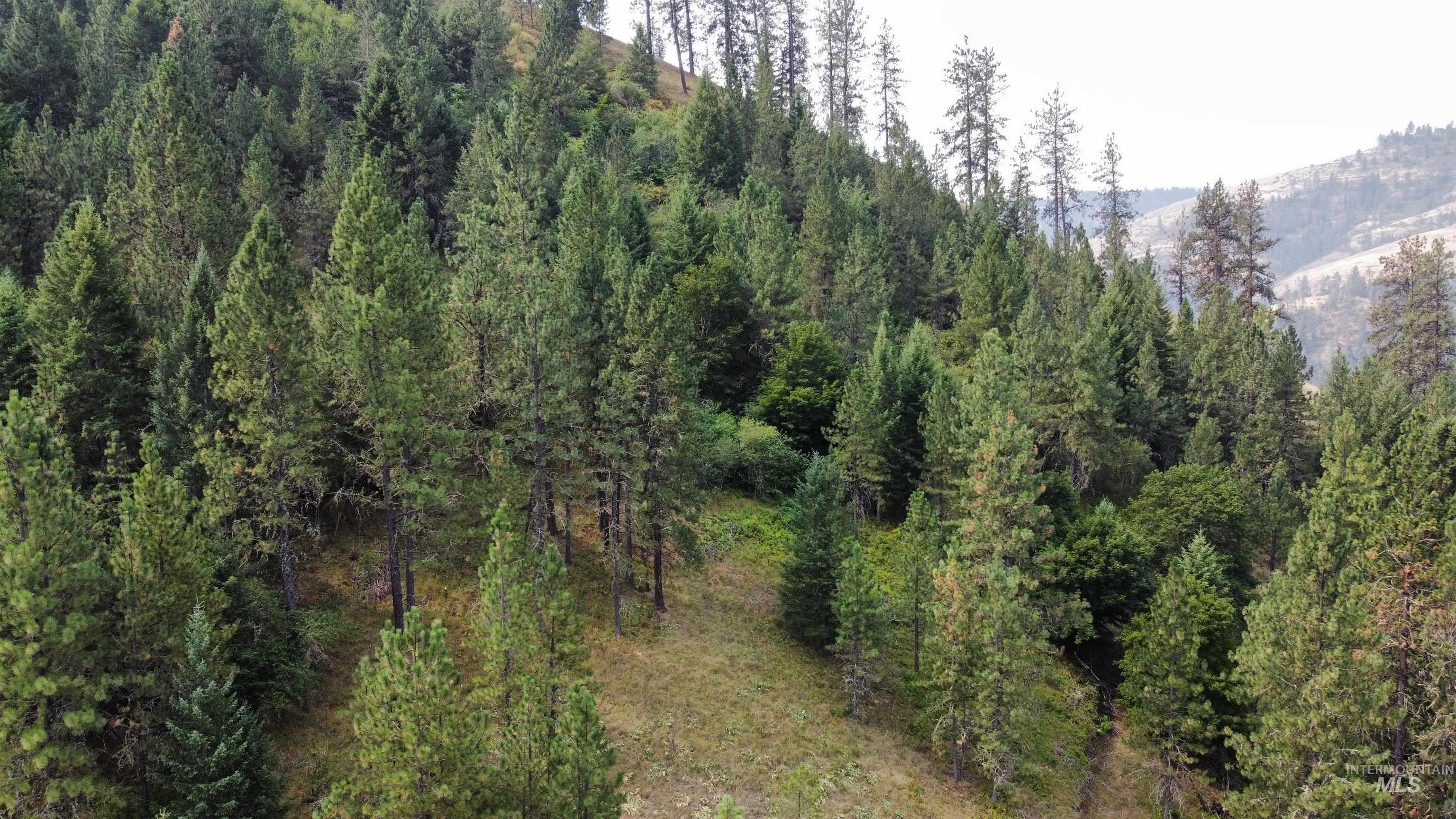 Tbd Hwy 13 Property Photo 29