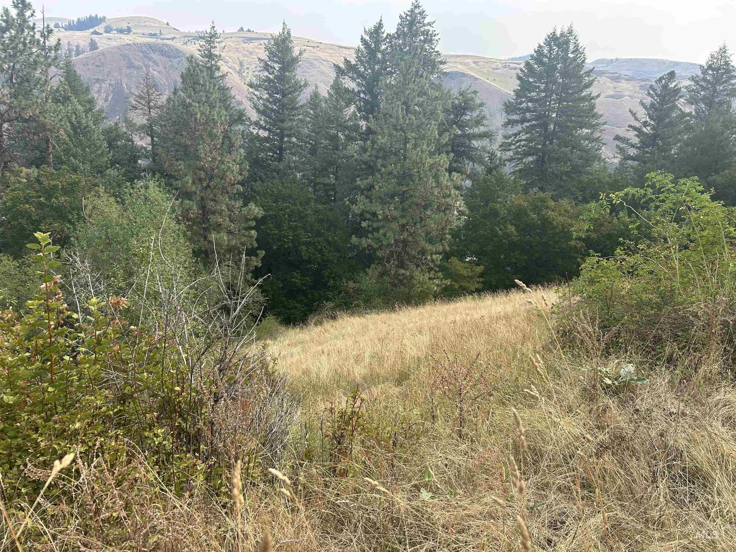 Tbd Hwy 13 Property Photo 32