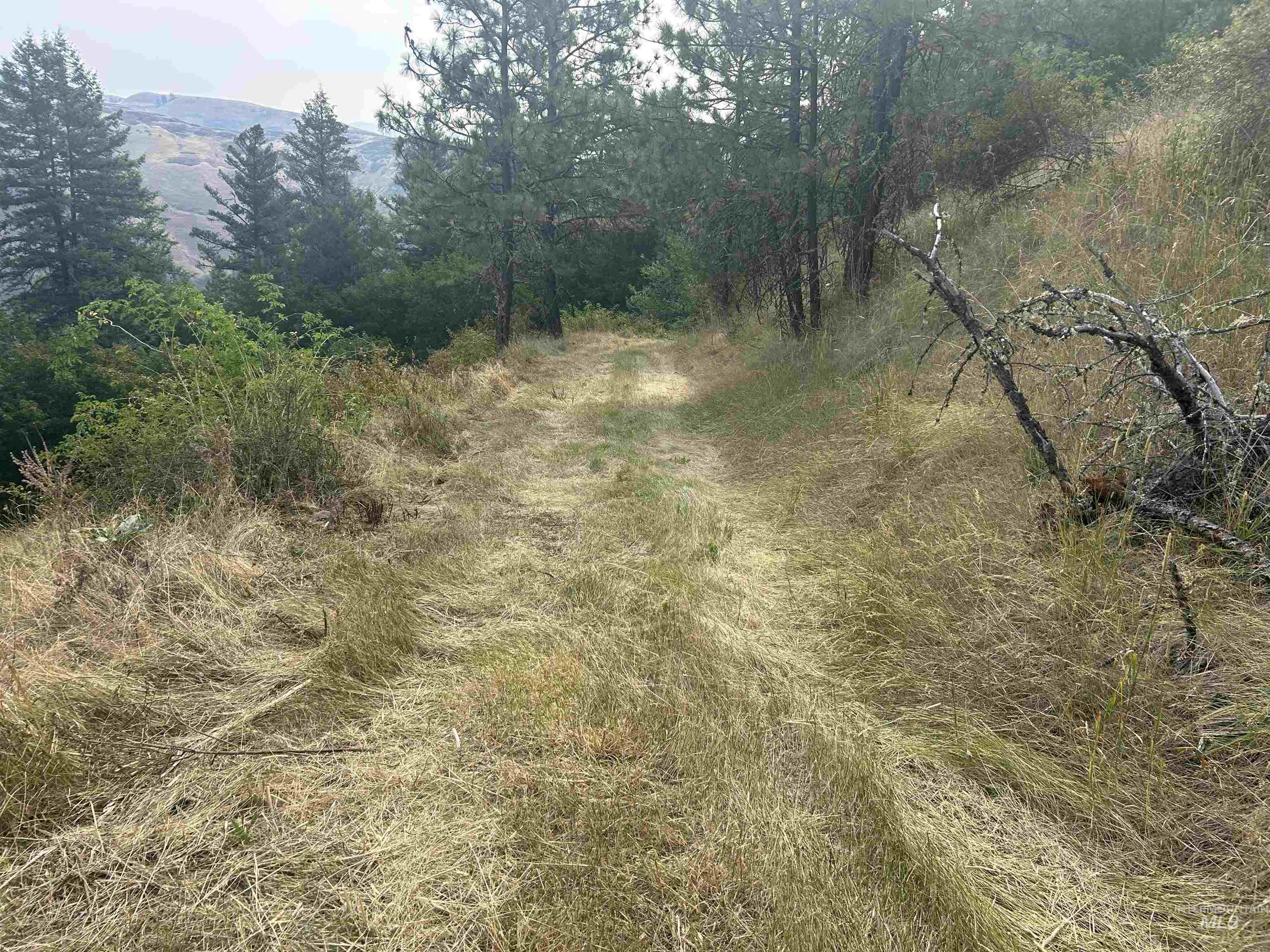 Tbd Hwy 13 Property Photo 33