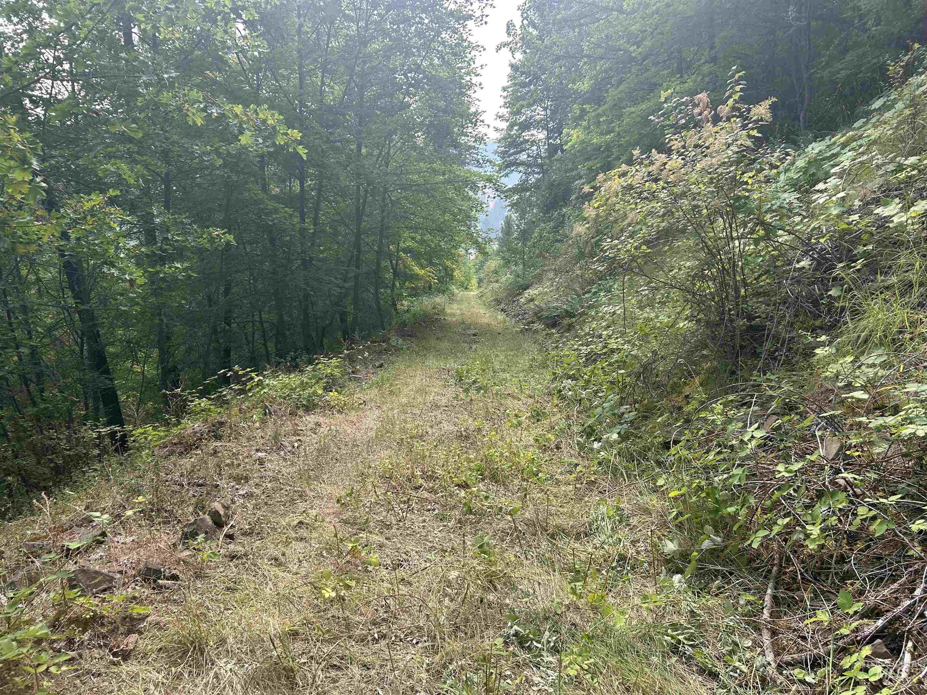 Tbd Hwy 13 Property Photo 34