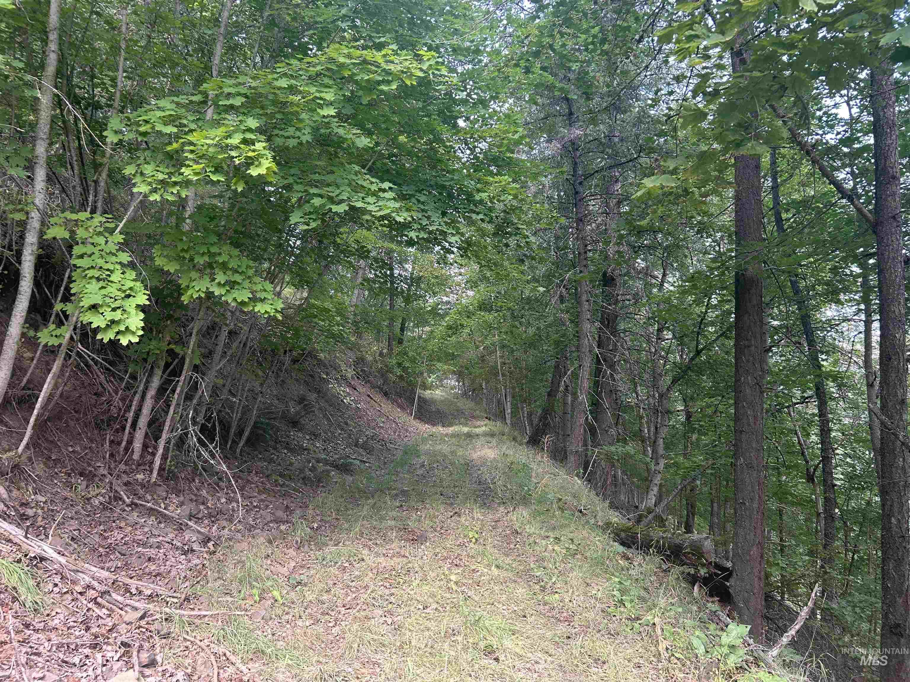Tbd Hwy 13 Property Photo 35