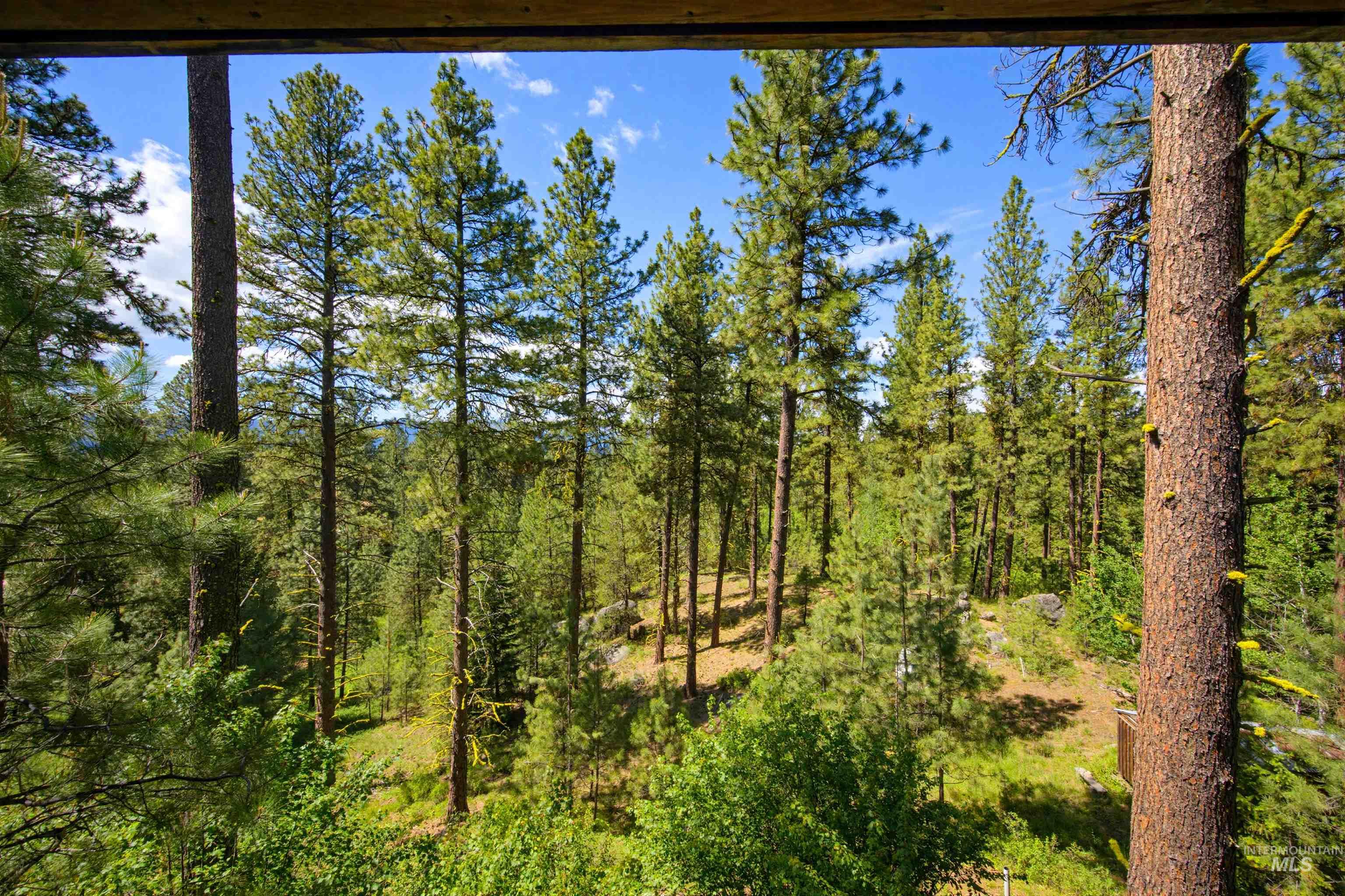 79 Sunset Loop Property Photo 43