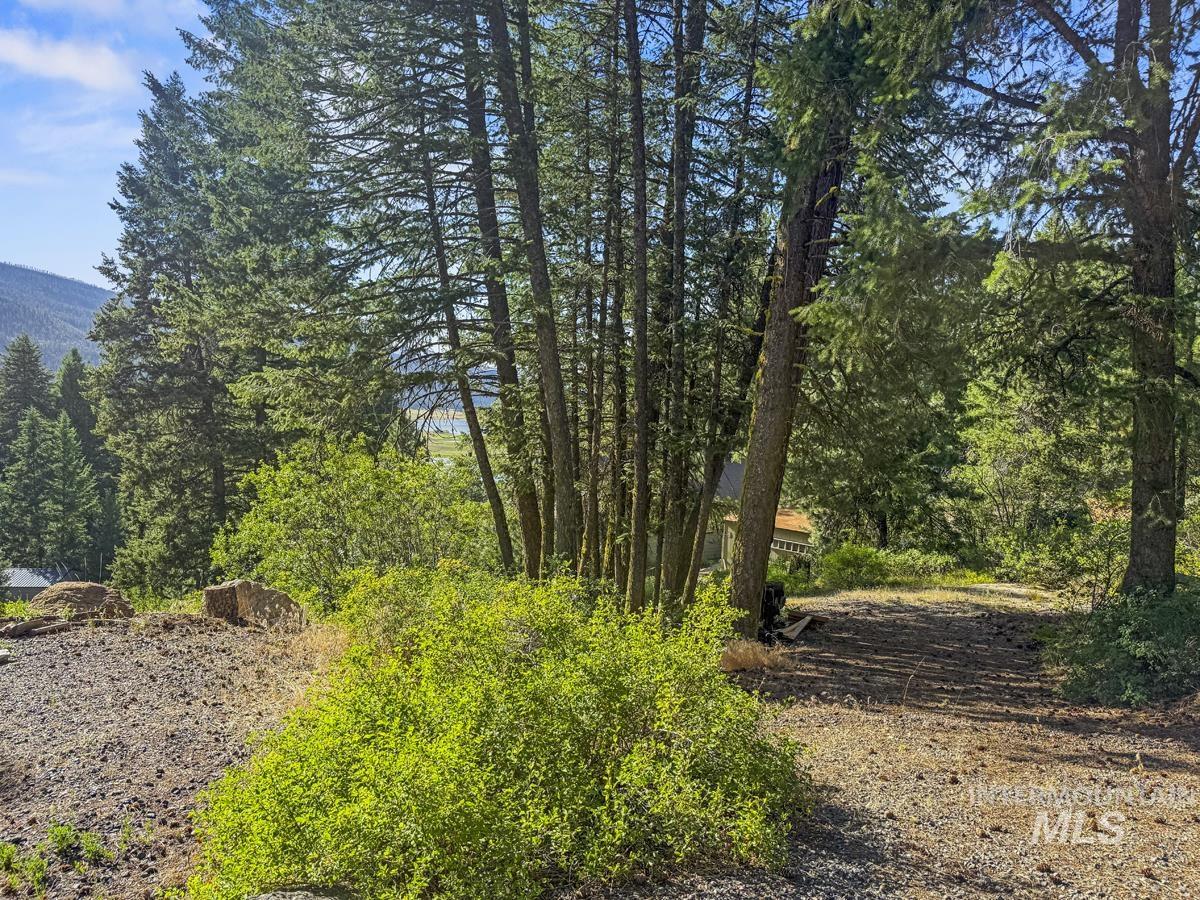 507 Collier View Road Property Photo 13