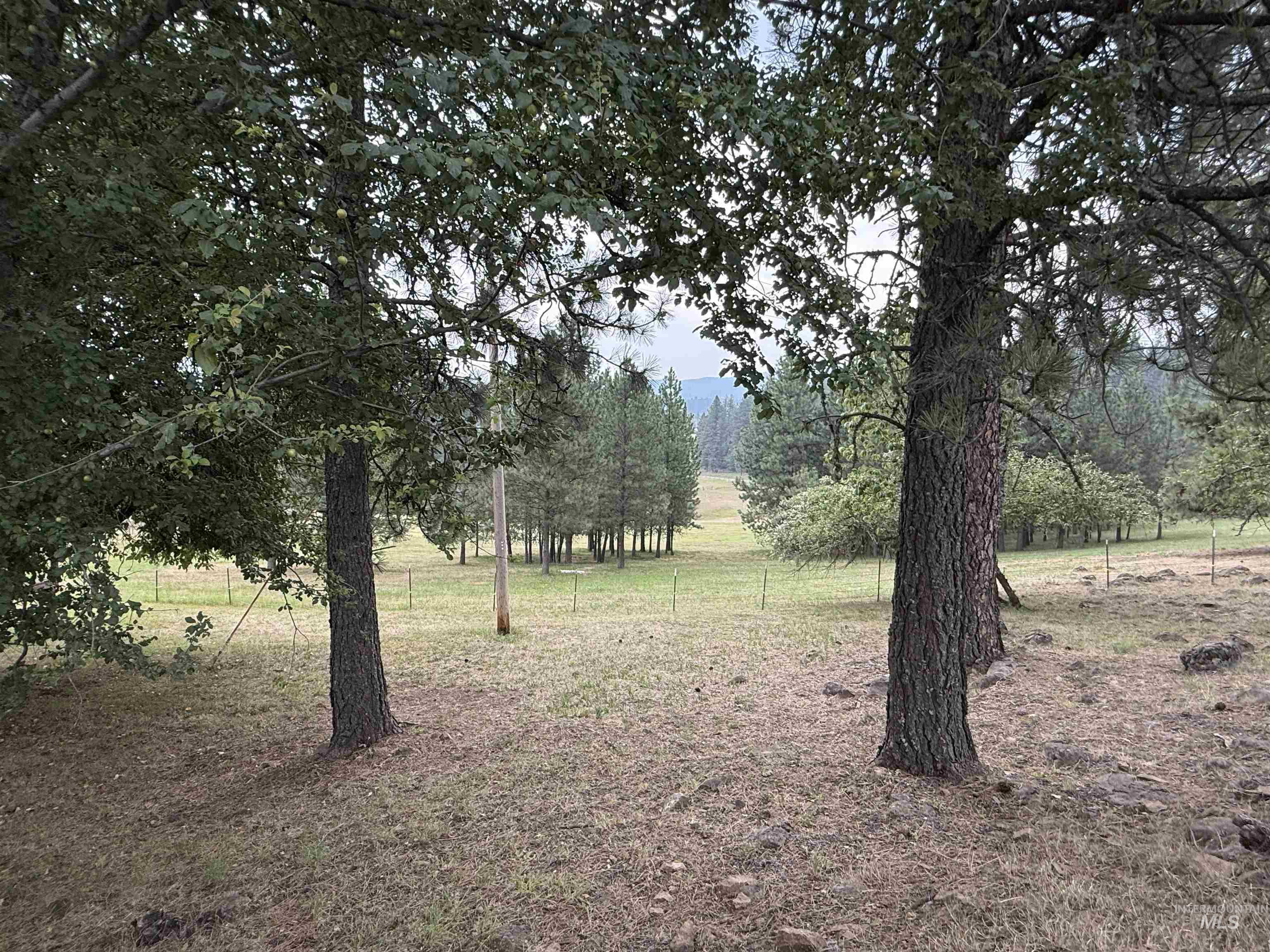 733 Pleasant Valley Road Property Photo 40