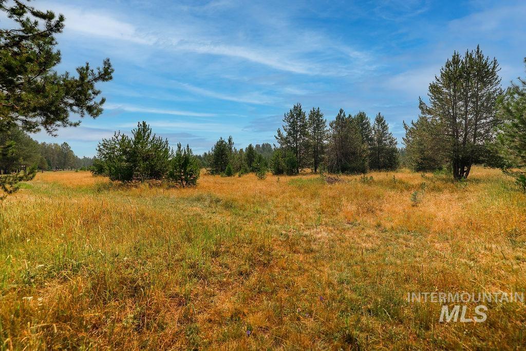 175 Angus Property Photo 45
