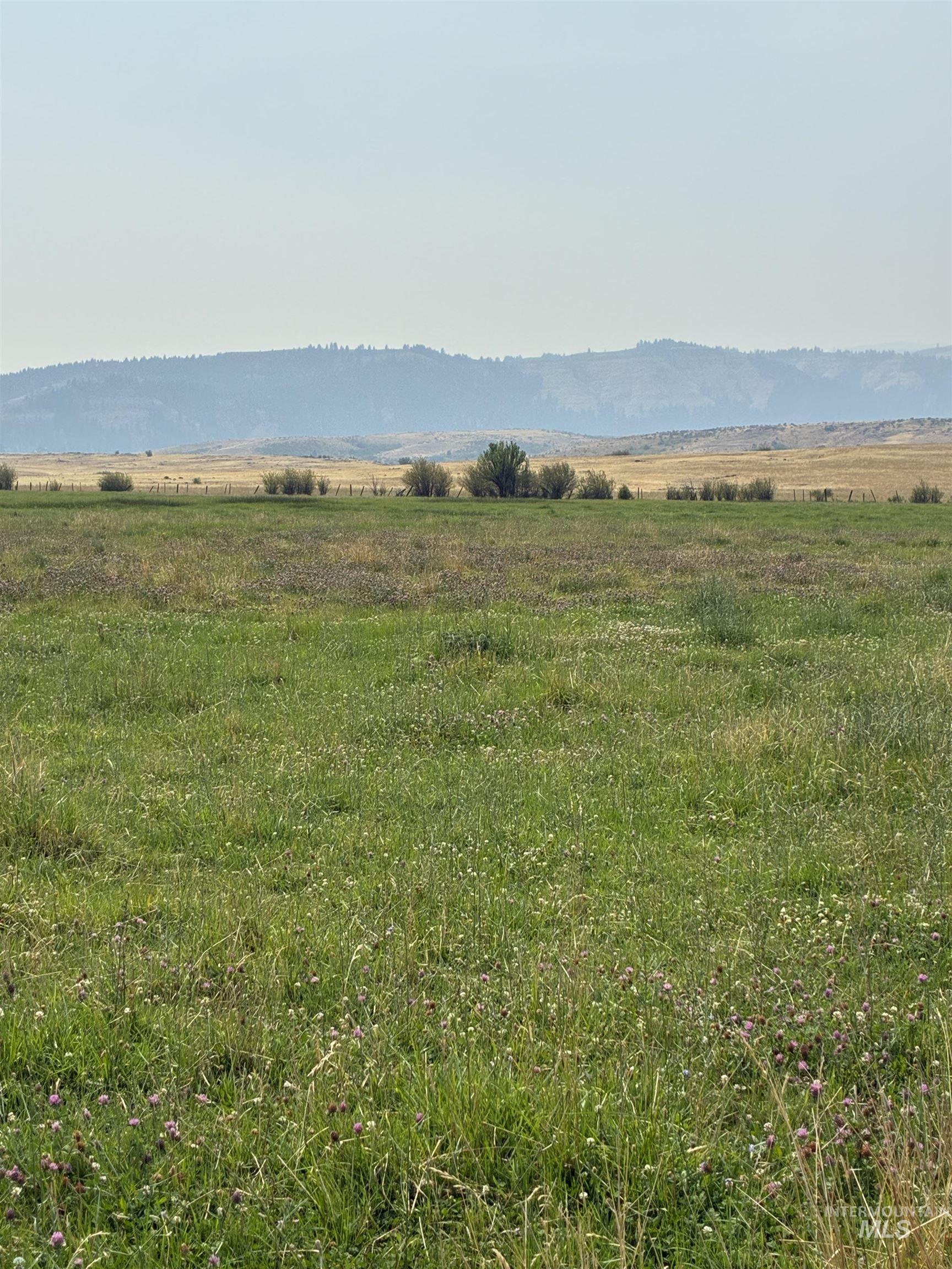 Tbd Hoover Lane Property Photo 5